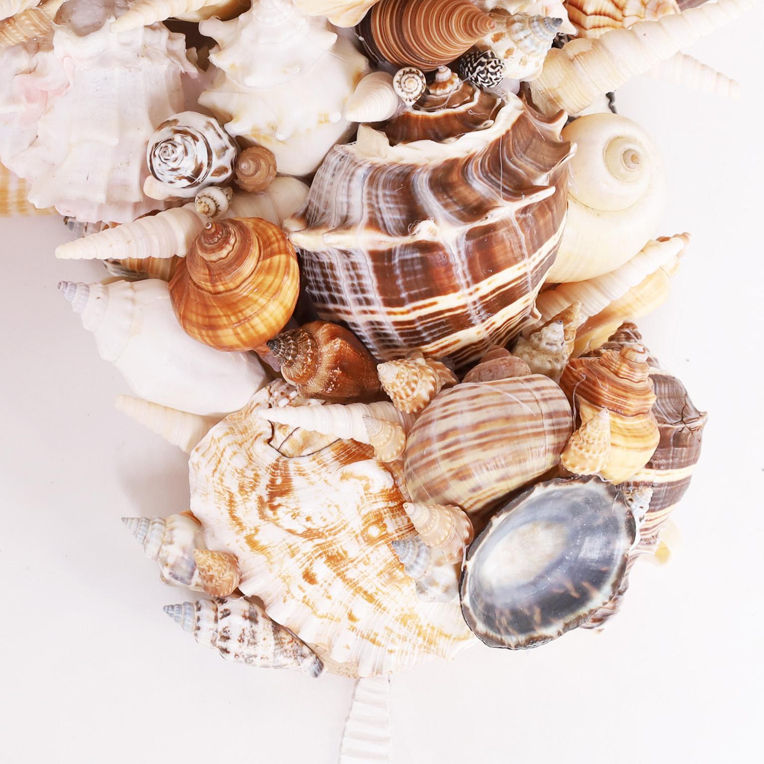 Contemporary Pair of Grotto Seashell Encrusted Wall Brackets