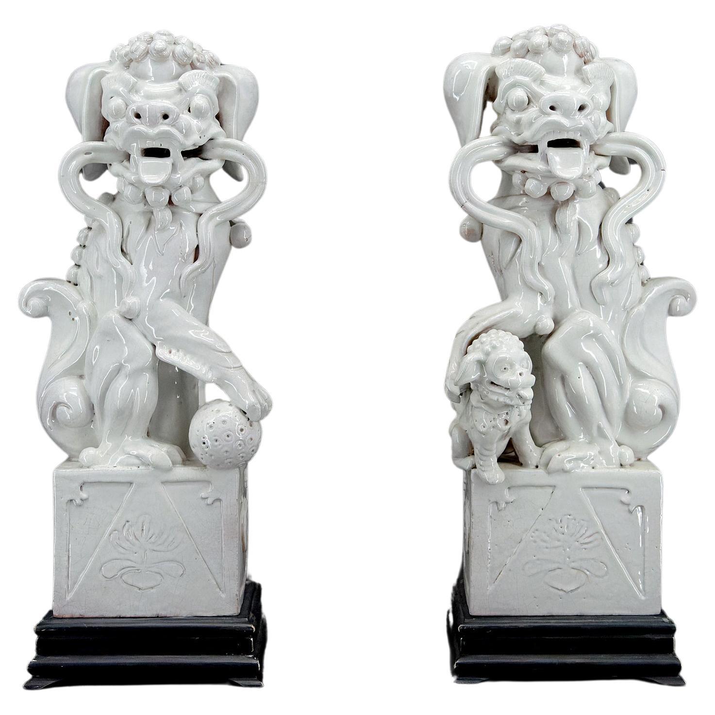 Paire de lions gardiens / chiens de garde / Shizi, céramique blanche, Chine, époque Qing, 19e 