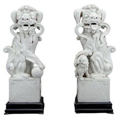 Pair of Guardian Lions / Fo Dogs / Shizi, White Ceramic, China, Qing Era, 19th 