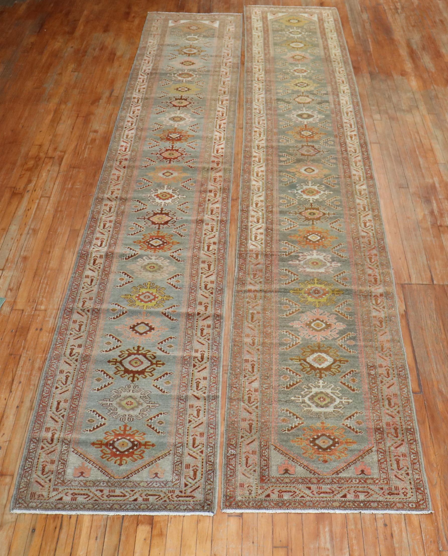 A pair of gray green background Persian runners from the city of Malayer. Ideally for a long 35-40 foot hallway

Measuring 2'9” x 17' and 2'8” x 16'5” respectively.
 
  