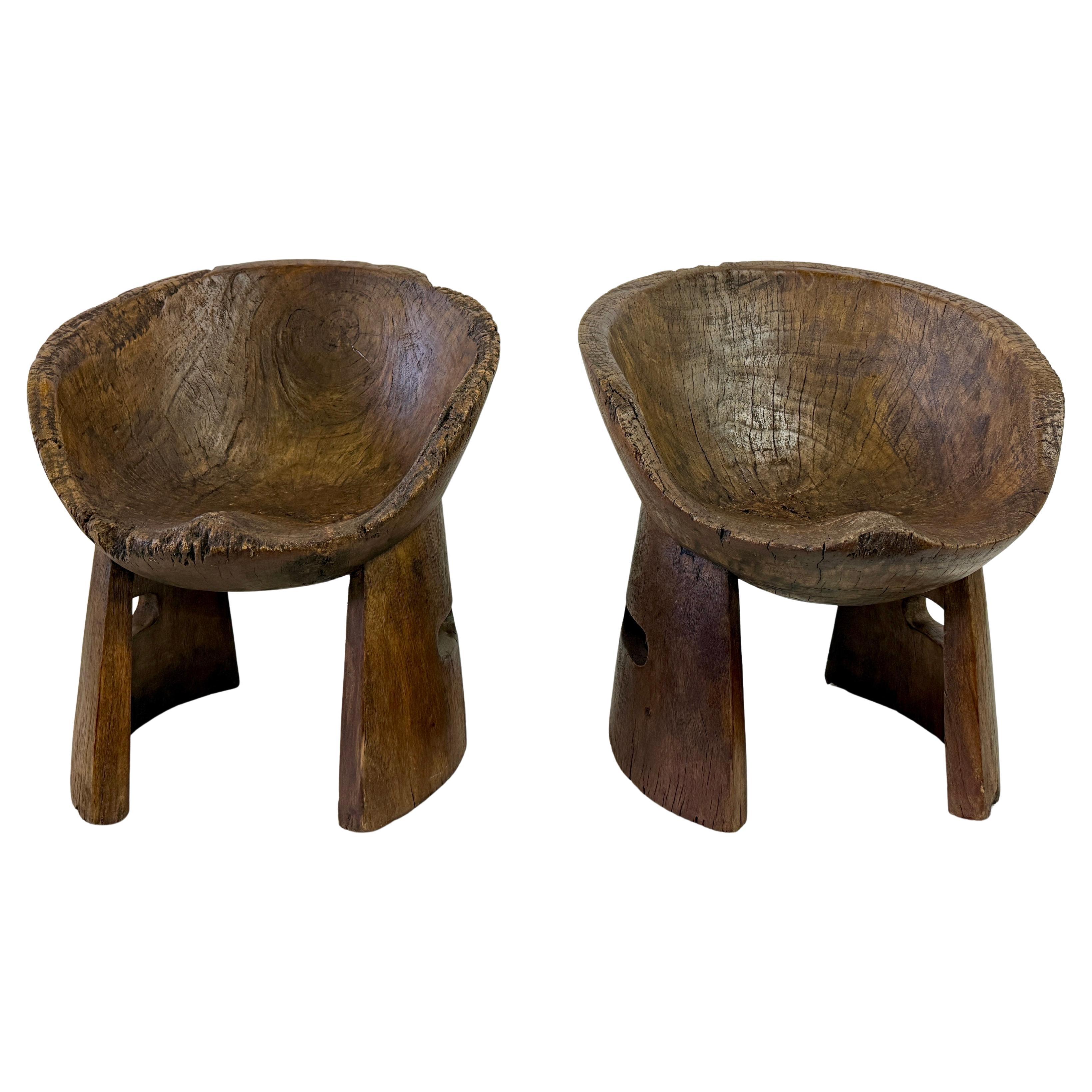 Pair of Hand-Carved Hardwood Tree Trunk Chairs For Sale