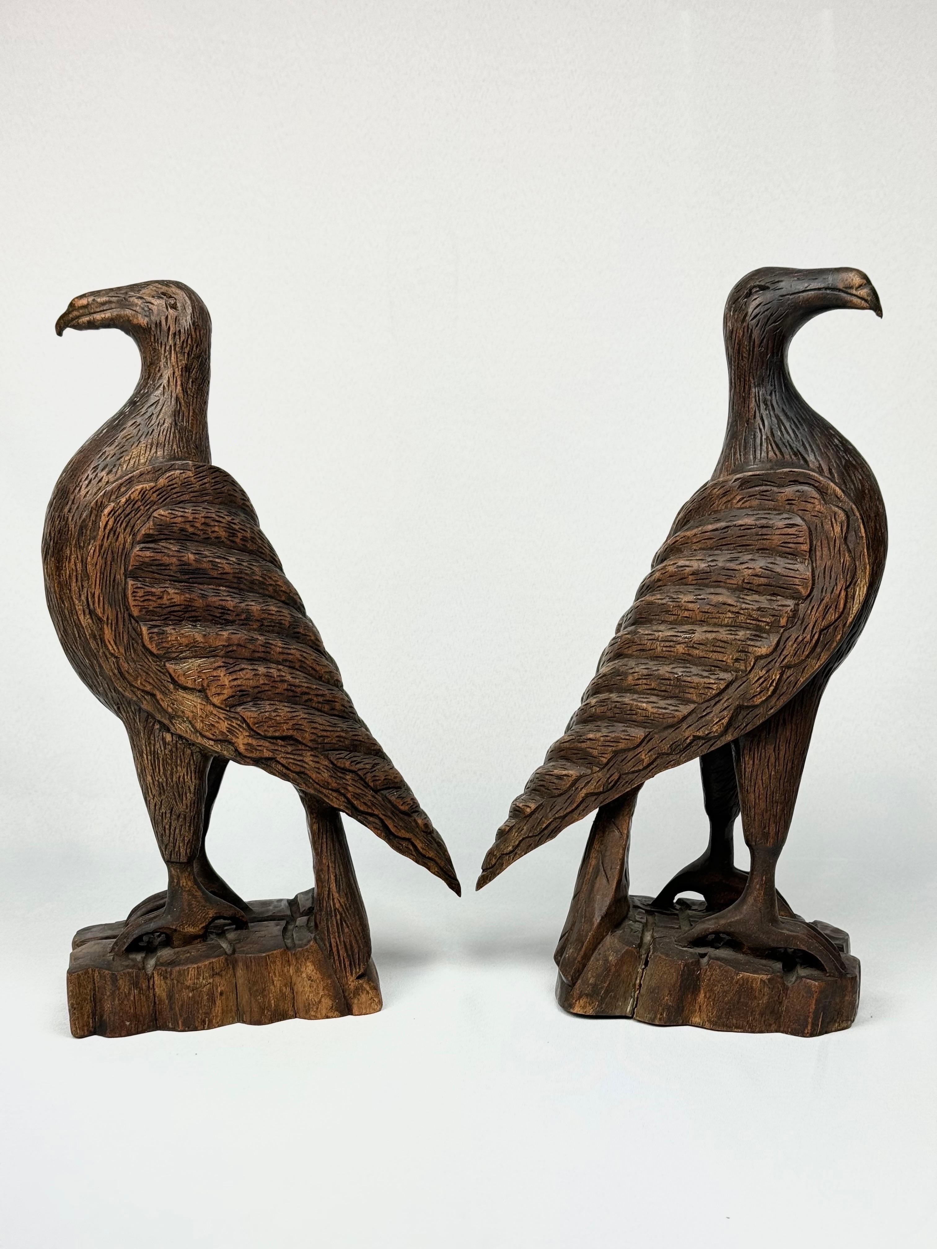 Américain Paire d'objets en bois sculptés à la main  Falcon en vente