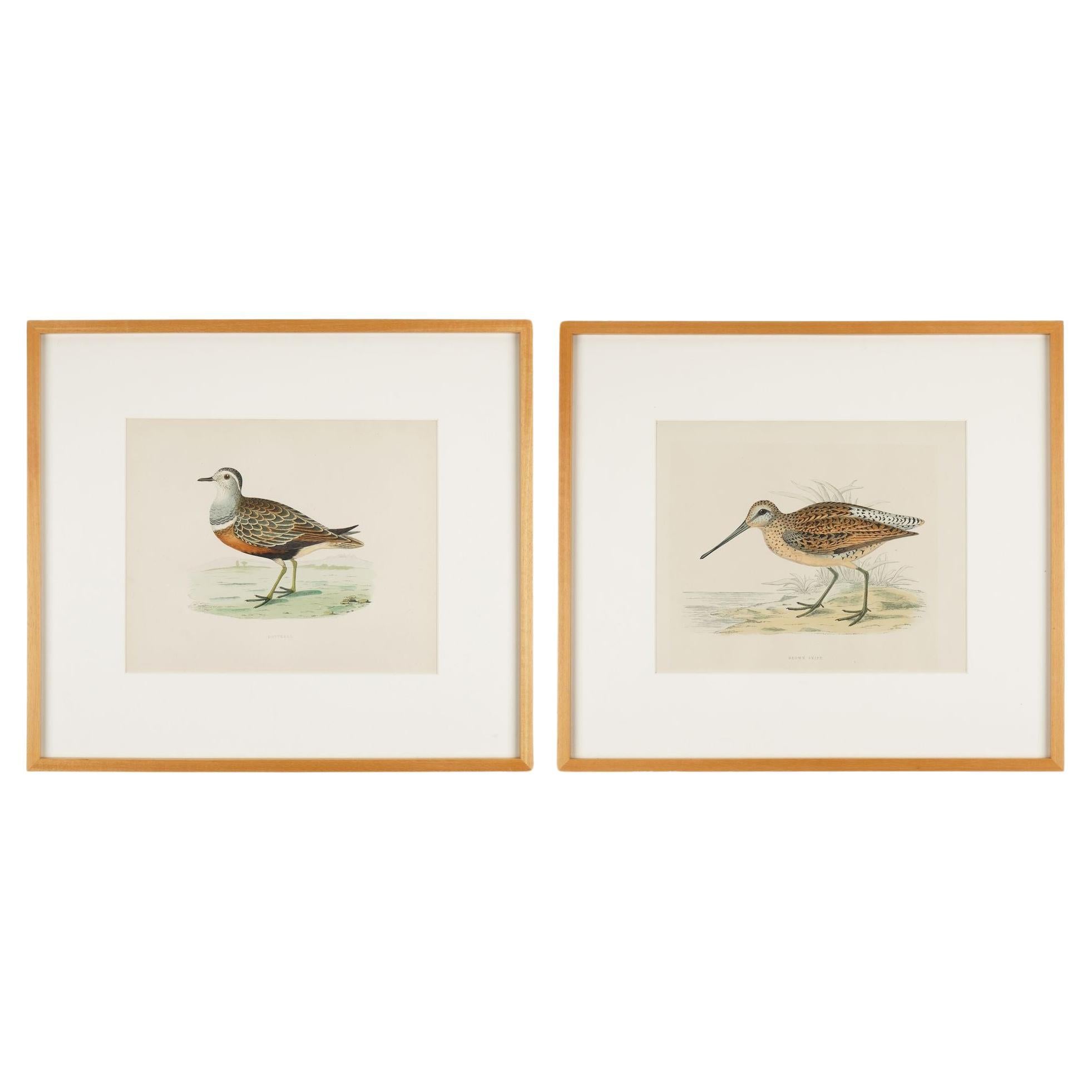 Pair of hand colored ornithological lithographs by Beverley R. Morris, 1865 For Sale