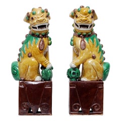 Pair of Hand Enamelled Chinese Porcelain Foo Dogs