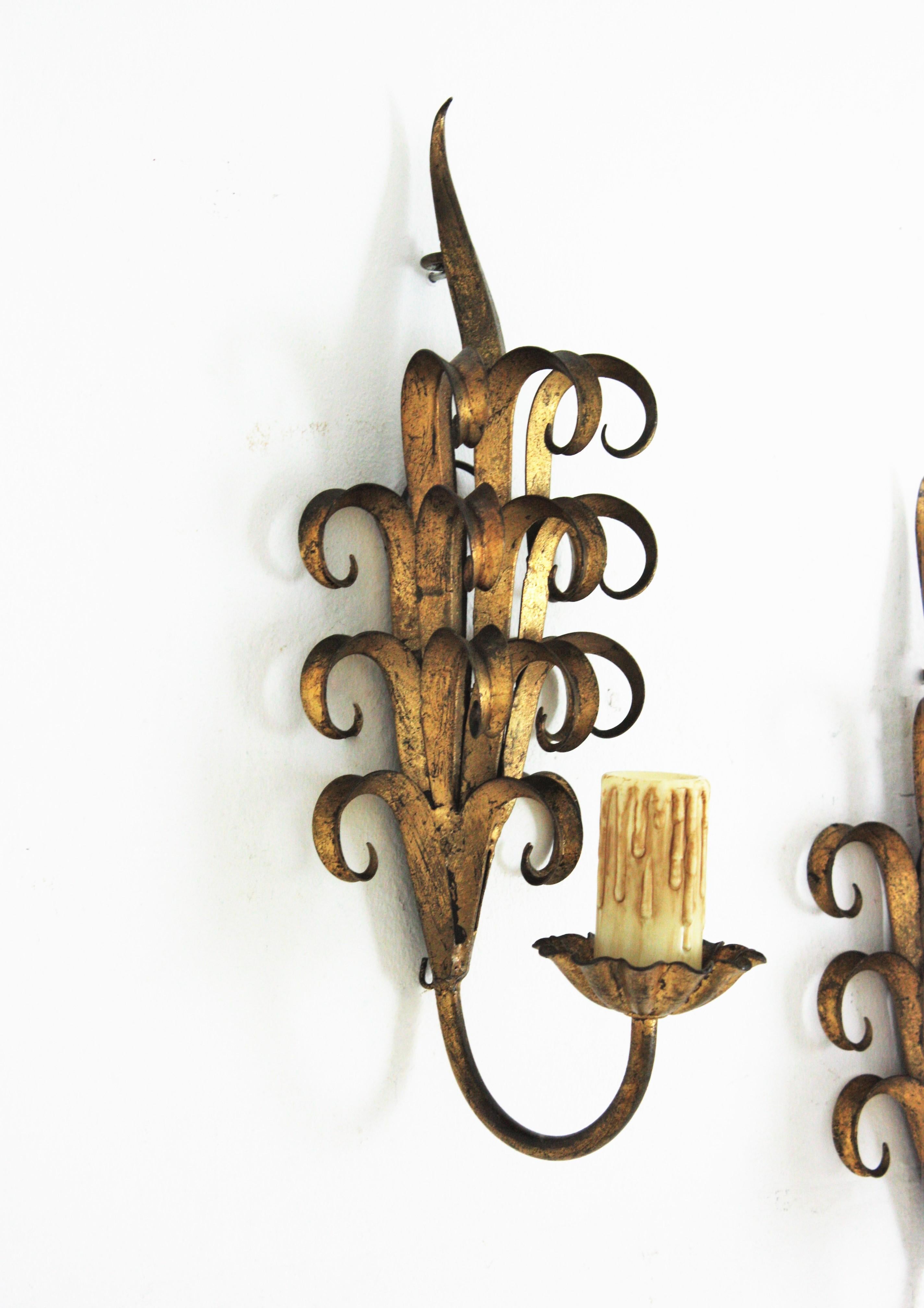 Pair of Hand Forged Gilt Iron Wall Sconces in Eyelash Scroll Design For Sale 4