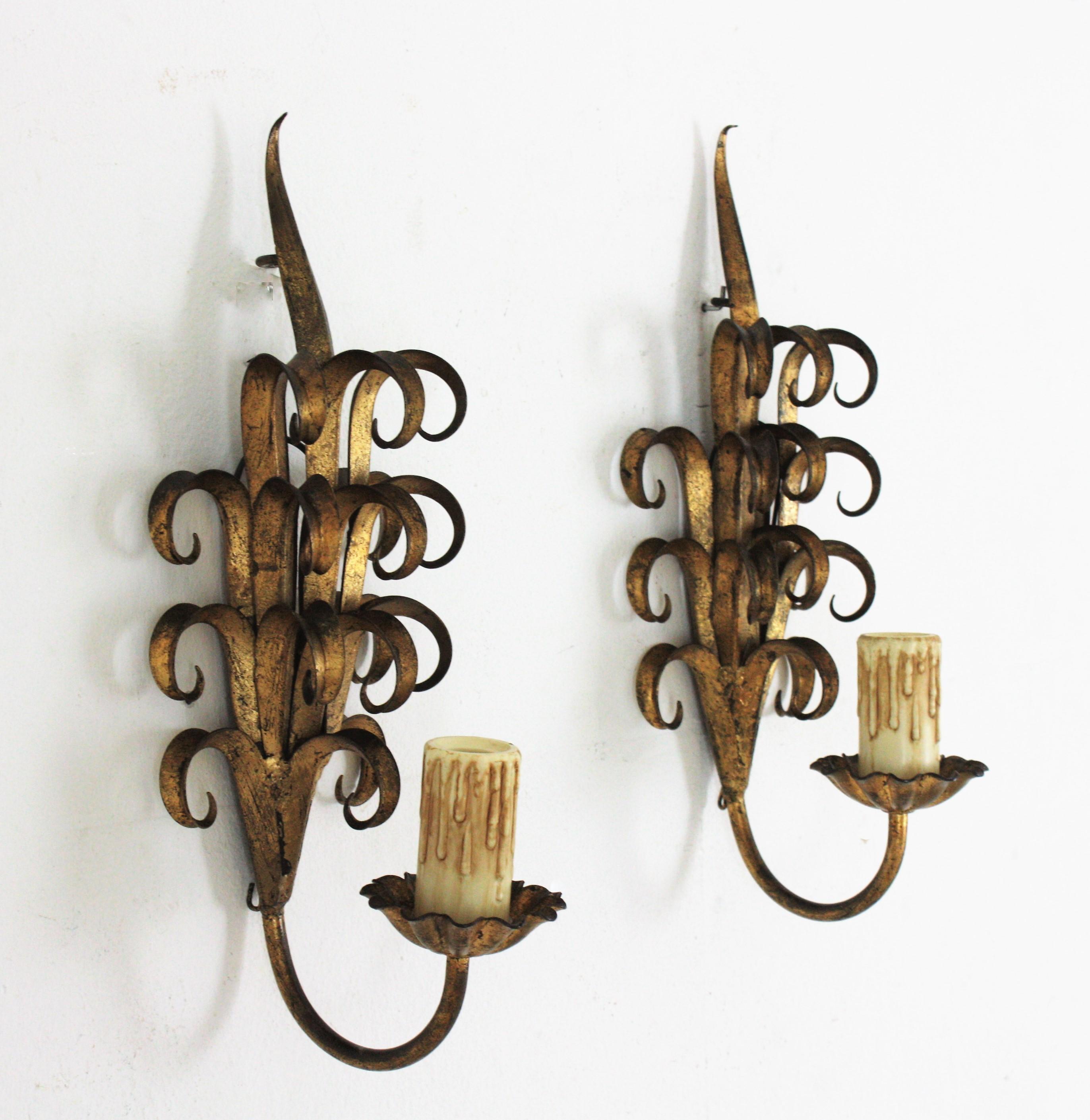 Pair of Hand Forged Gilt Iron Wall Sconces in Eyelash Scroll Design For Sale 4