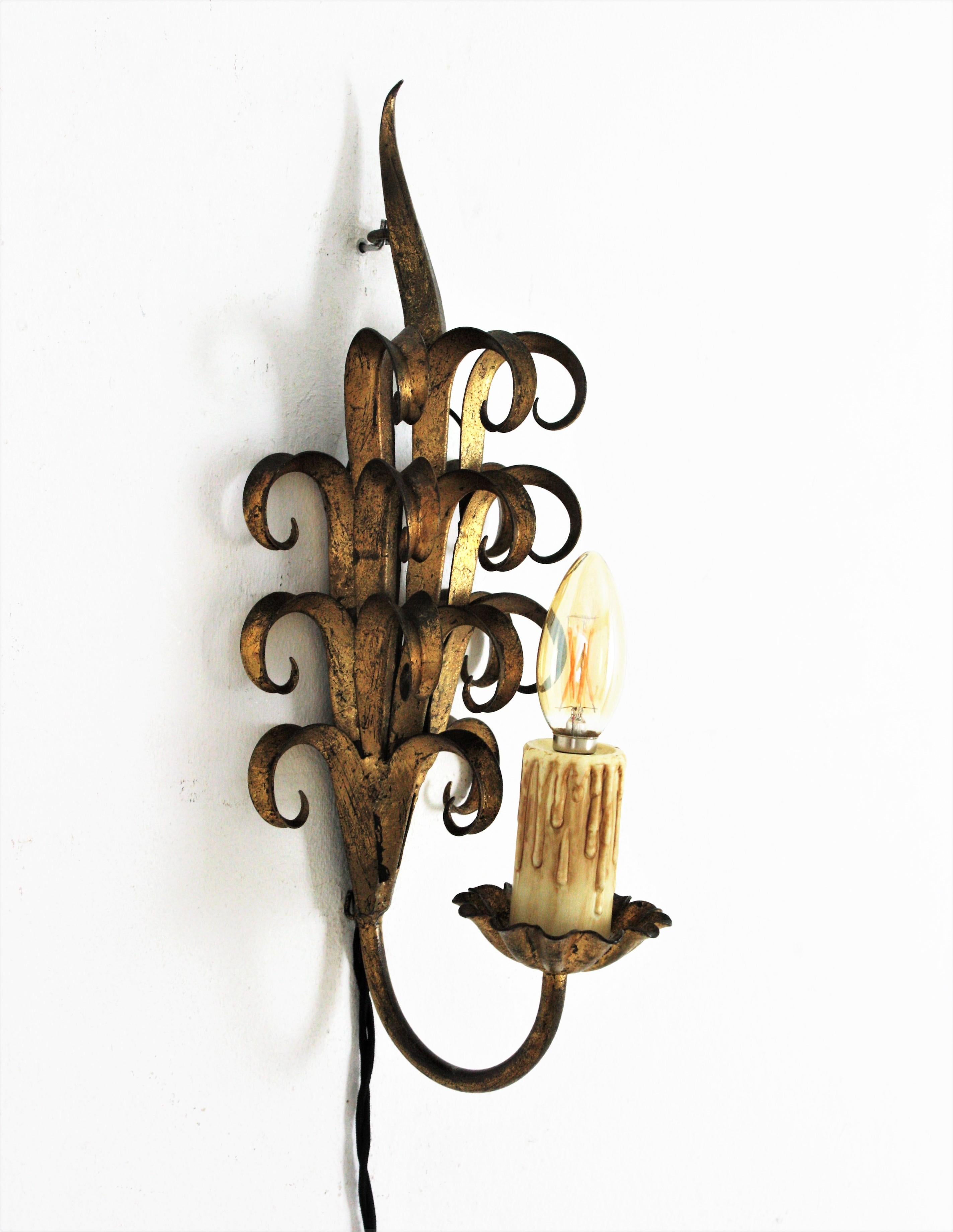 Pair of Hand Forged Gilt Iron Wall Sconces in Eyelash Scroll Design For Sale 6