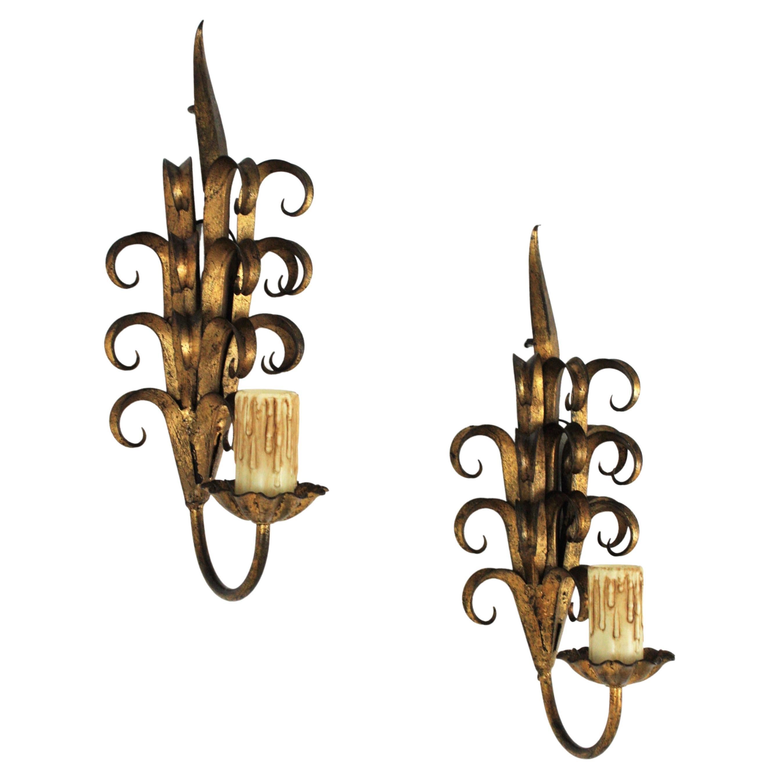 Spanish Pair of Hand Forged Gilt Iron Wall Sconces in Eyelash Scroll Design For Sale