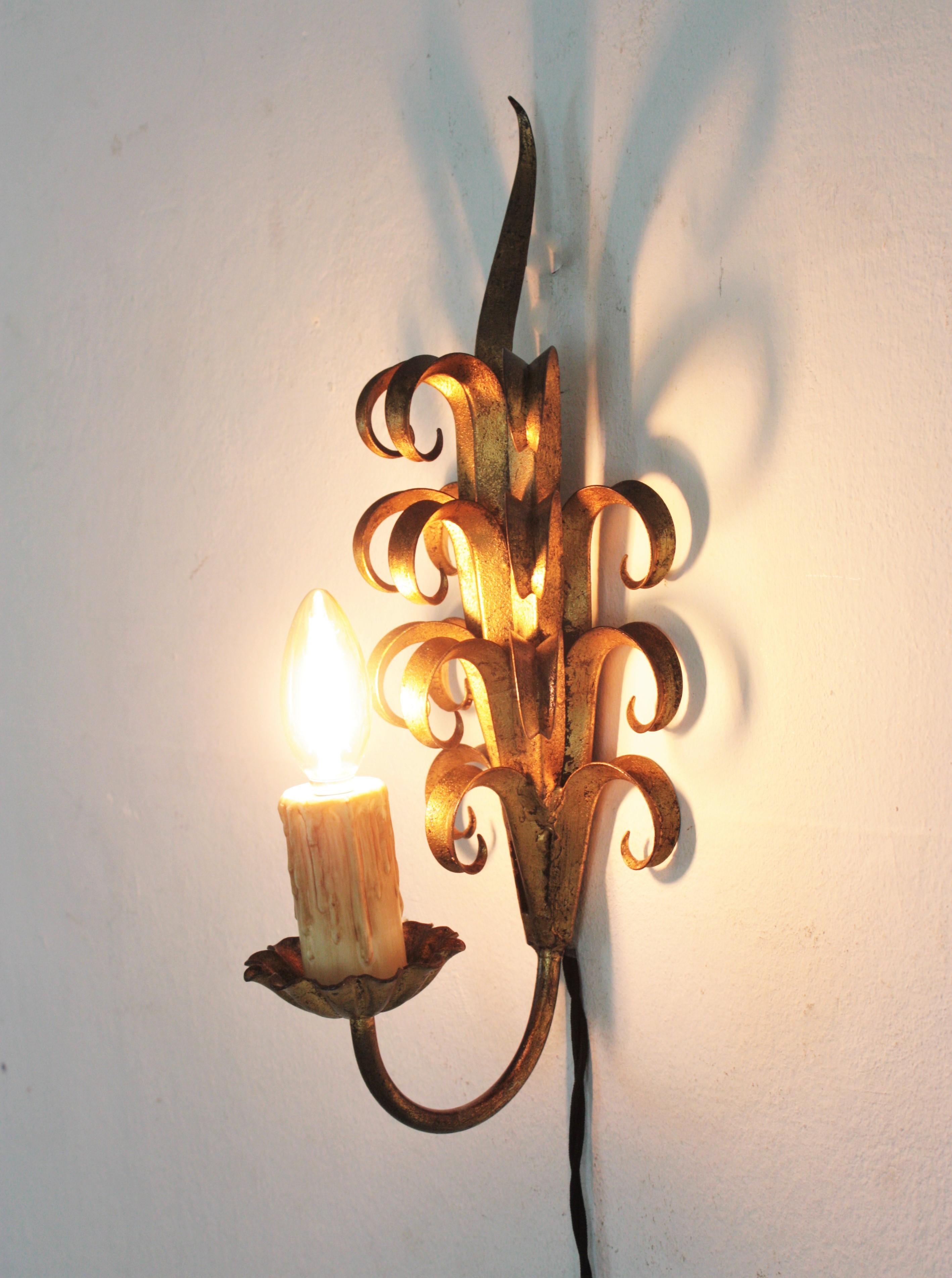 20th Century Pair of Hand Forged Gilt Iron Wall Sconces in Eyelash Scroll Design For Sale