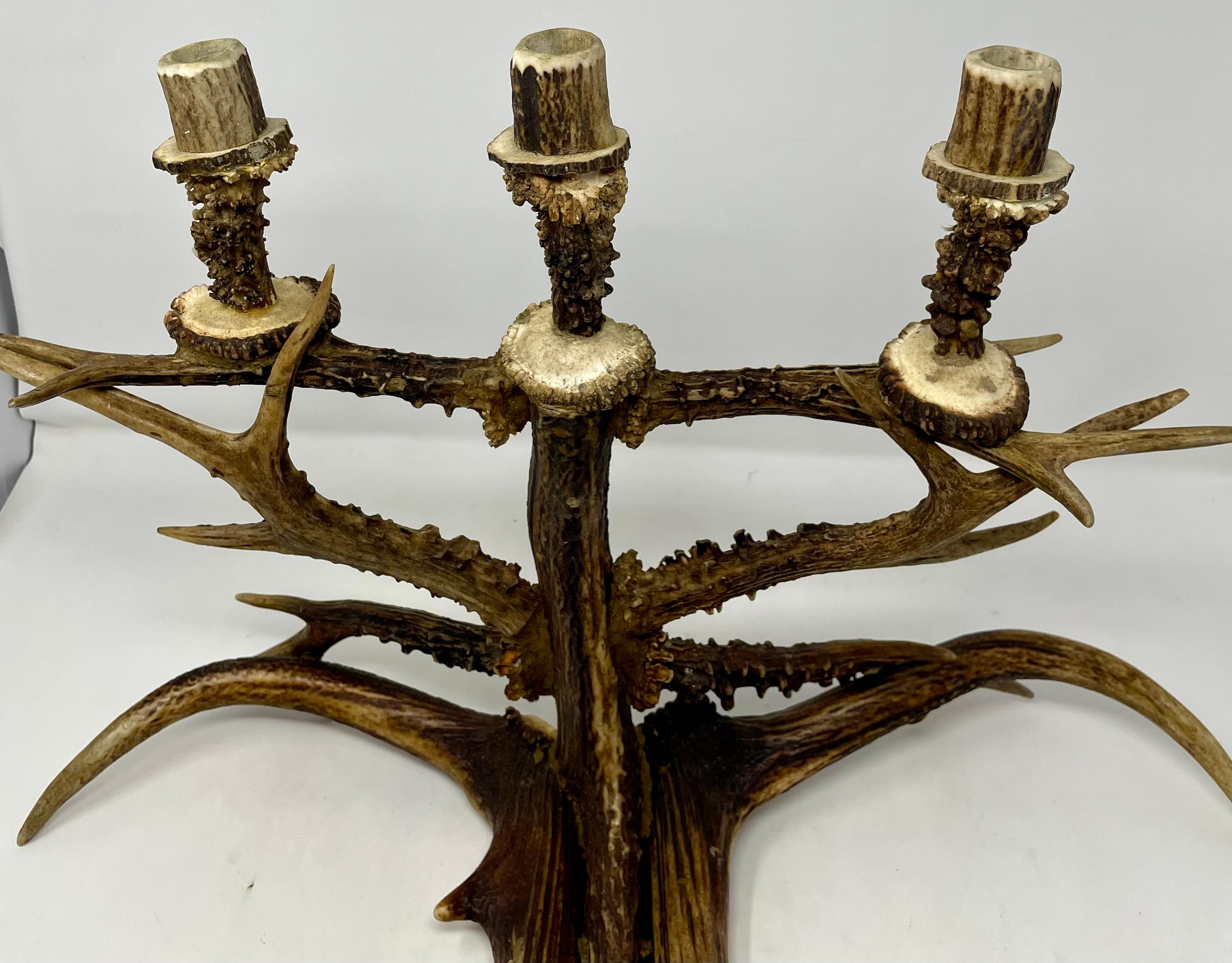 Pair of Hand-Made 3 Cup Antler Candelabra. For Sale 4