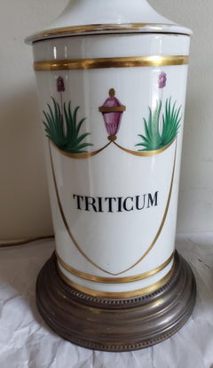 Pair of Hand Painted Porcelain Apothecary Jars Mounted As Lamps