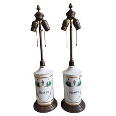 Pair of Hand Painted Porcelain Apothecary Jars Mounted As Lamps