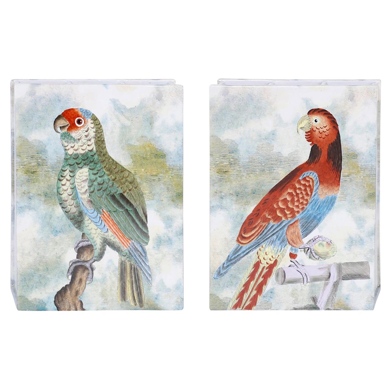 Paar handbemalte Papagei-Vasen aus Porzellan