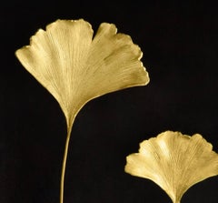 Pair of Handmade Golden Ginkgo Leaf Shadow Boxes, Contemporary Style