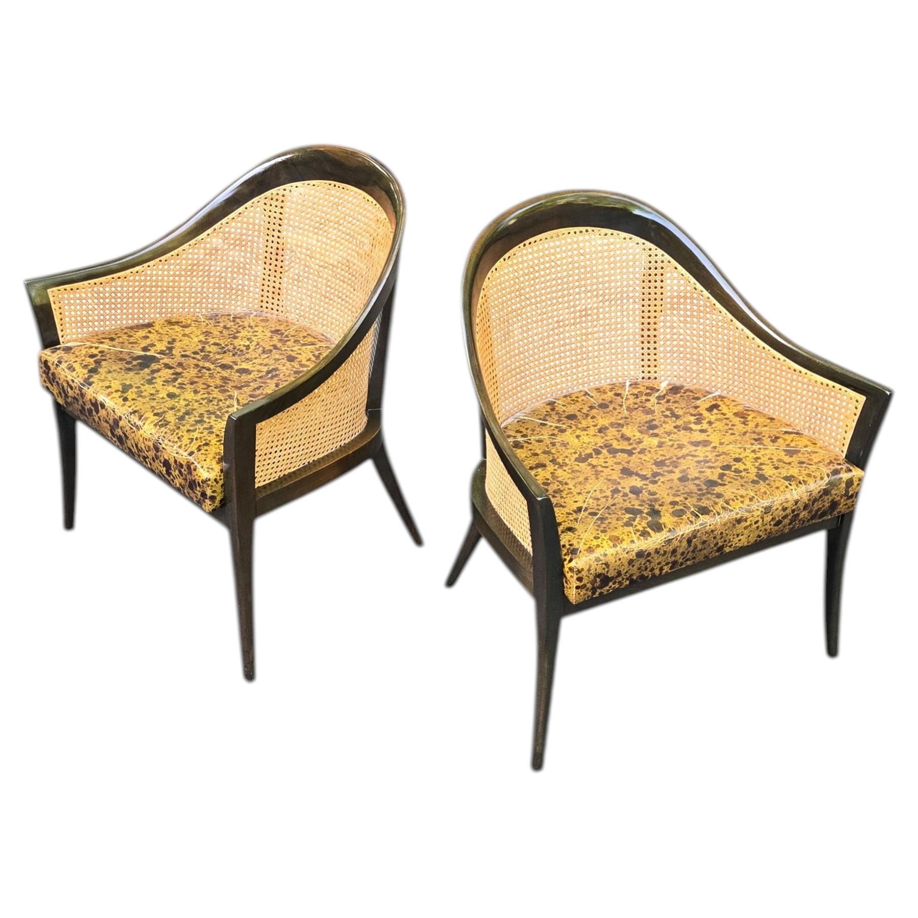 Pair of Harvey Probber Cane and Mahogony Lounge Chairs For Sale