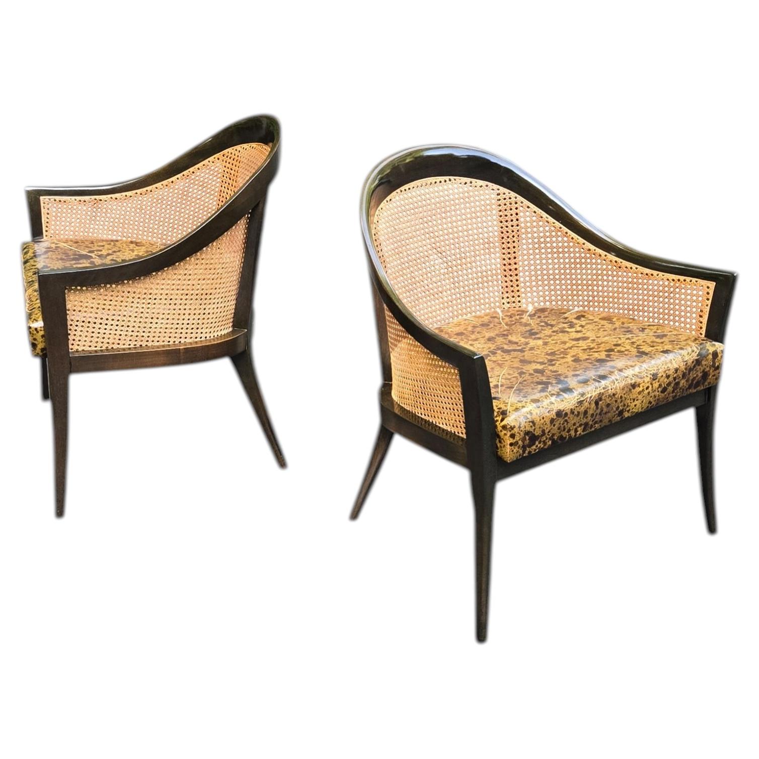 Pair of Harvey Probber Cane and Mahogony Lounge Chairs For Sale