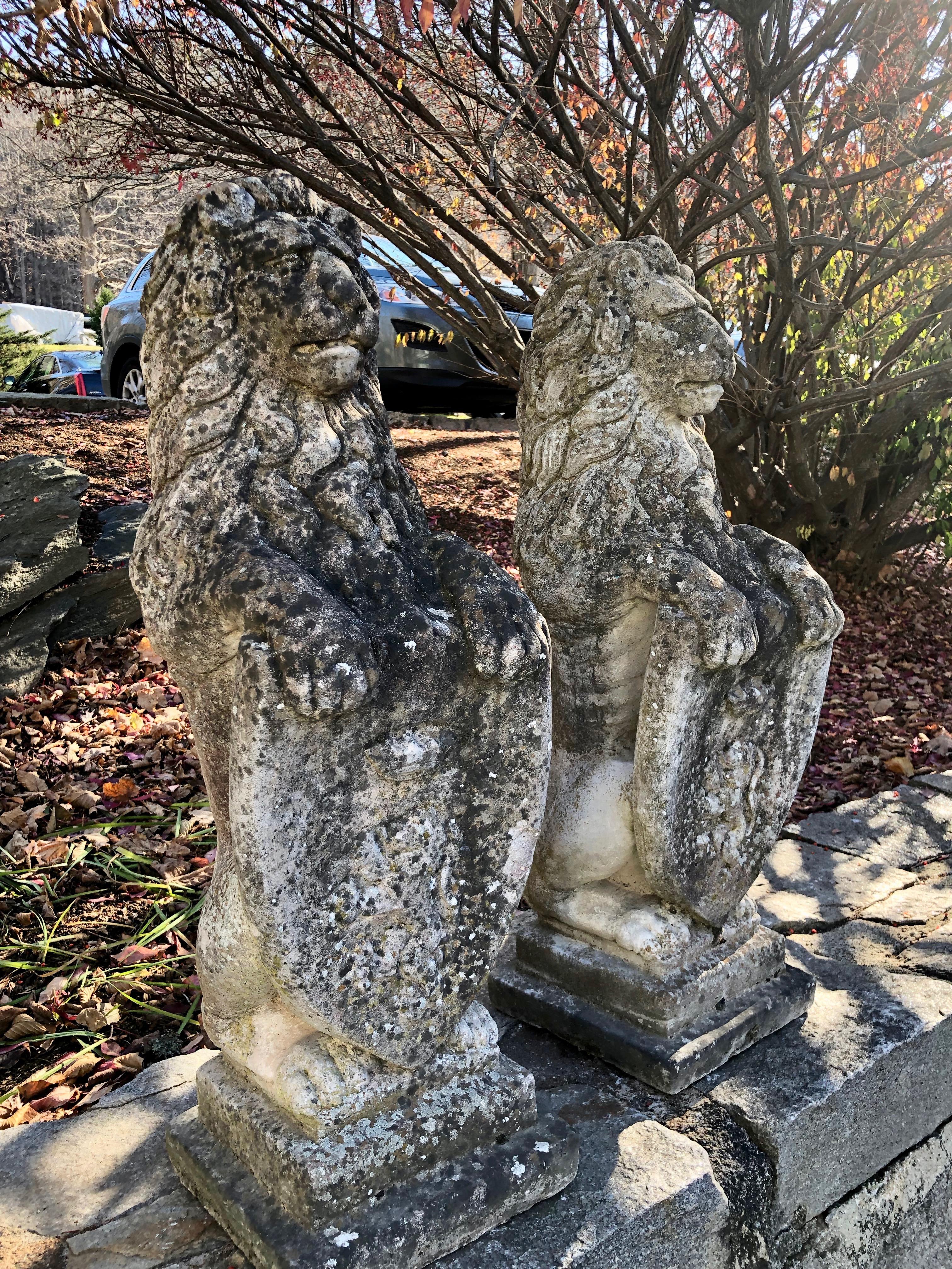 This pair of identical standing armorial lions are deeply-cast and have a stunning patina with lichen and bits of moss. Their clenched paws hold beautifully-detailed shields featuring Rampart Lions. In excellent condition, they would make the