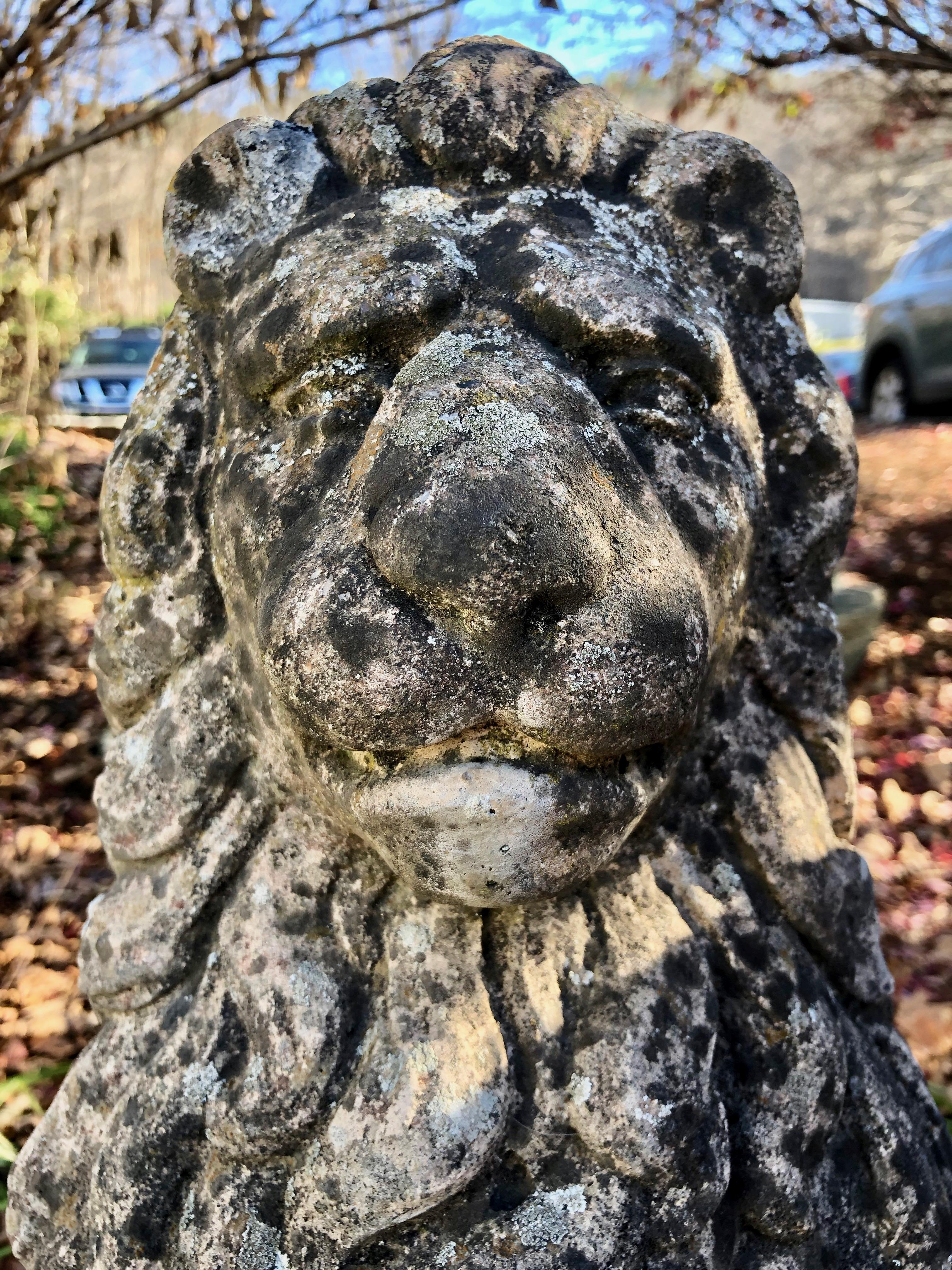Pair of Heavily-Weathered and Lichened English Cast Stone Armorial Lions 4