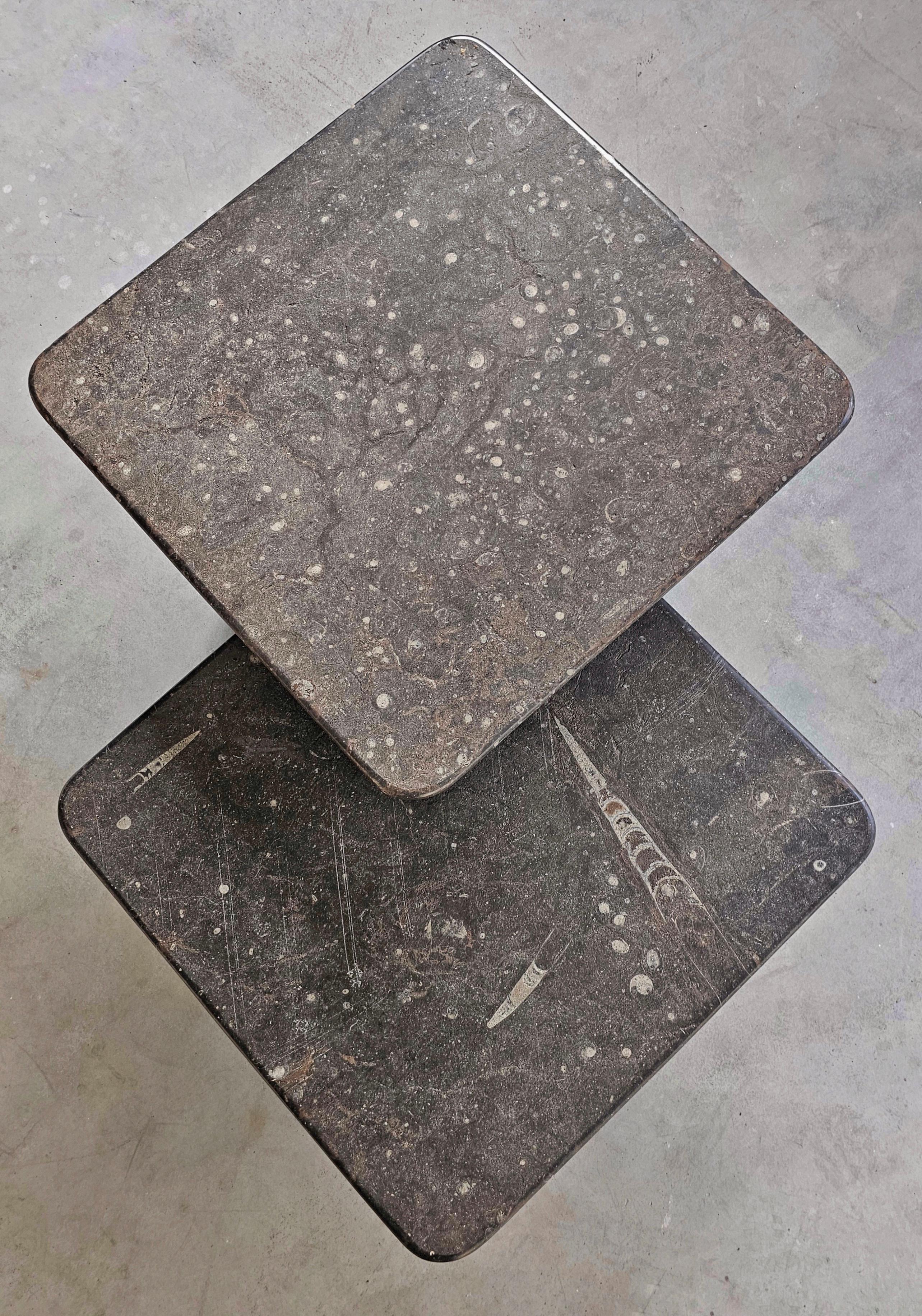 Pair of Heinz Lilienthal style Nesting Tables done in Fossil Stone, Germany 1980 For Sale 8
