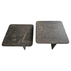 Paire de tables gigognes de style Heinz Lilienthal réalisées en pierre fossile, Allemagne 1980