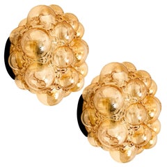 Pair of Helena Tynell Amber Bubble Flush Mounts or Wall Sconces, 1960s