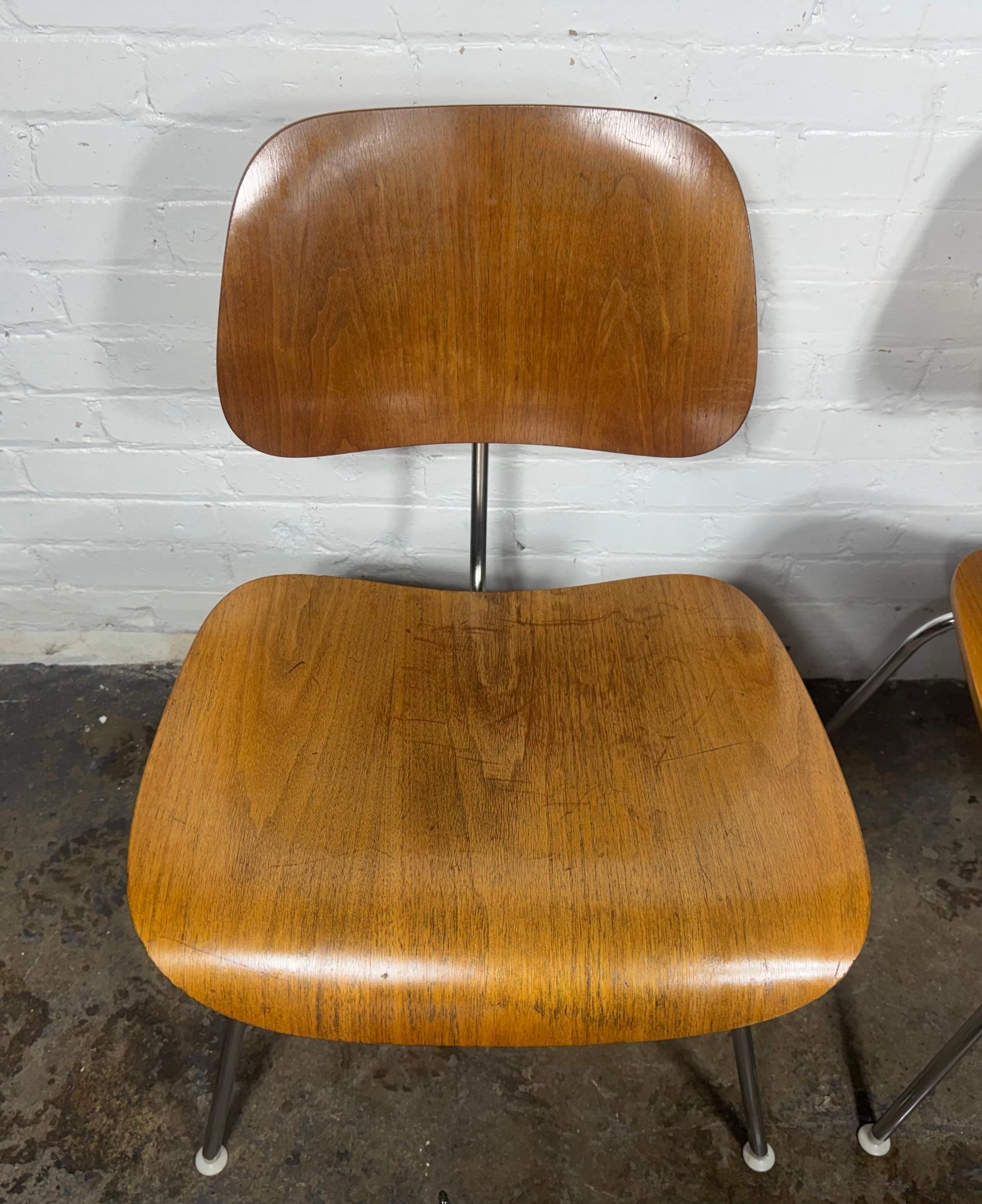 Pair of Herman Miller Eames DCM Molded Plywood / chrome Side Chair 1980s im Angebot 6