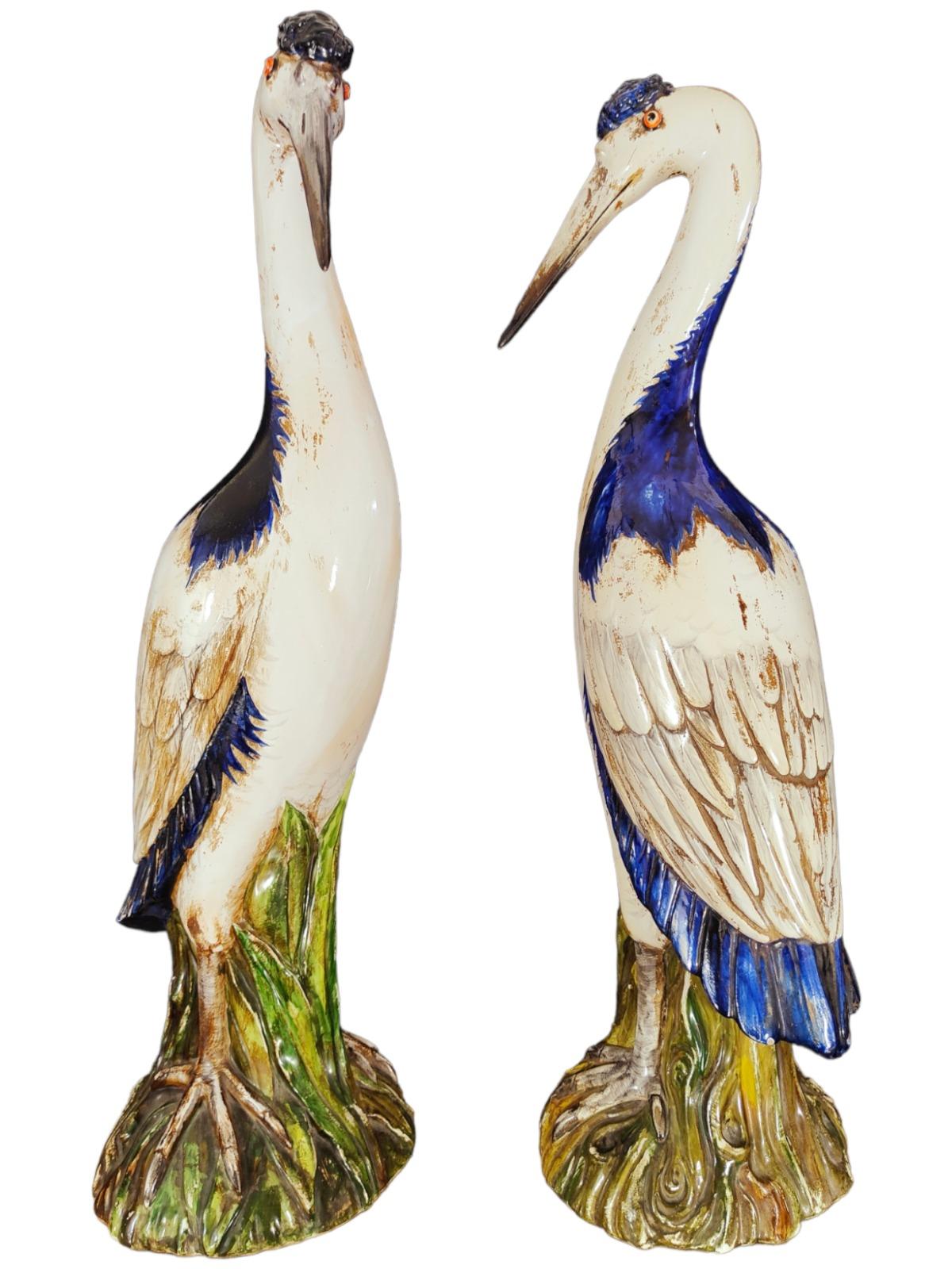 Pair of Herrons in from 50s-20th Century 6