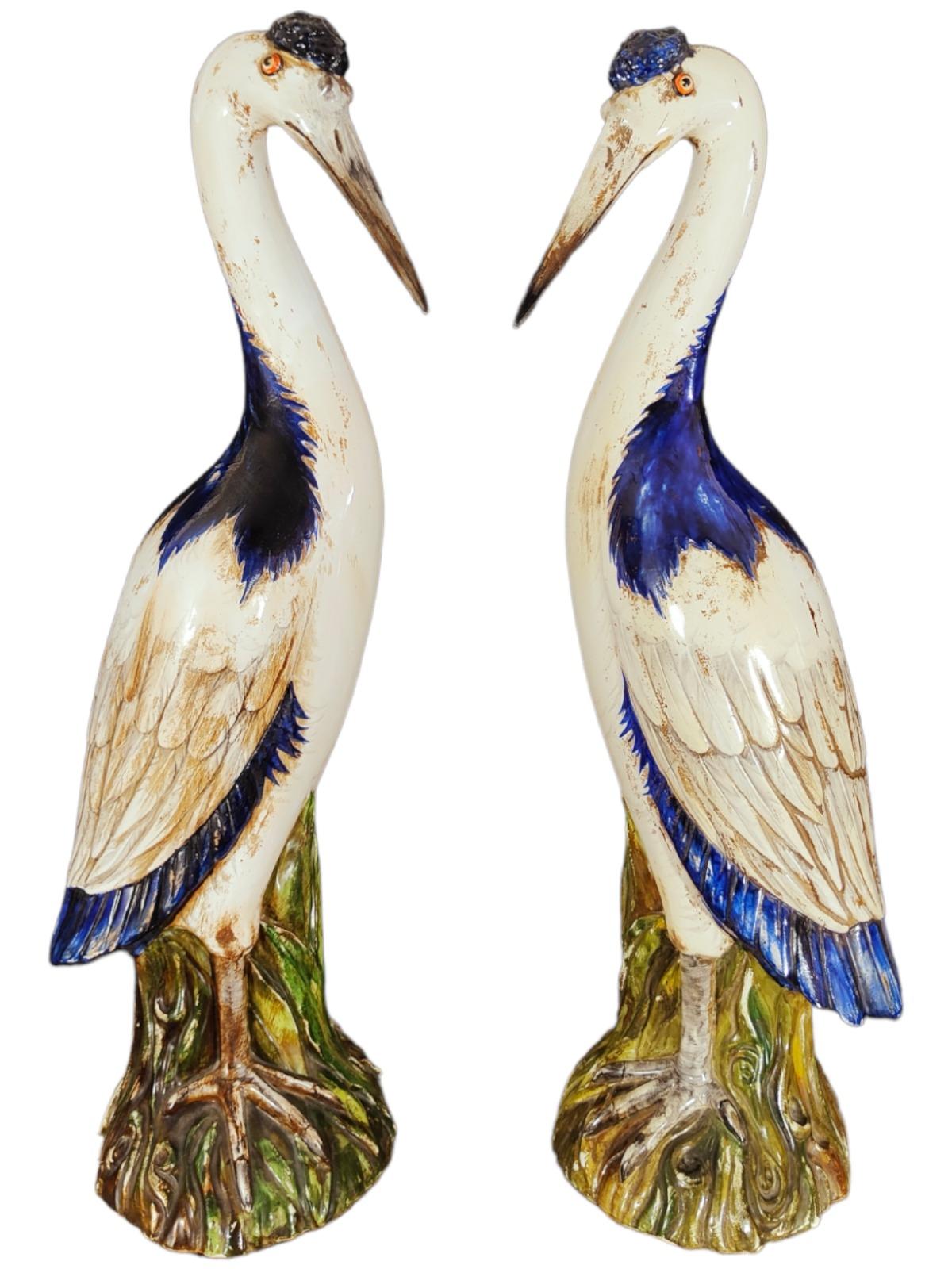 Pair of Herrons in from 50s-20th Century 2
