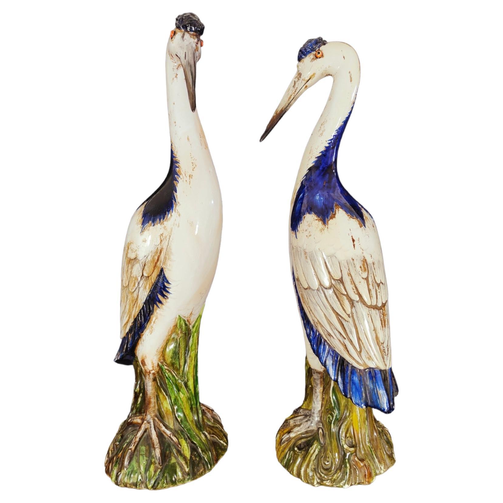 Pair of Herrons in from 50s-20th Century