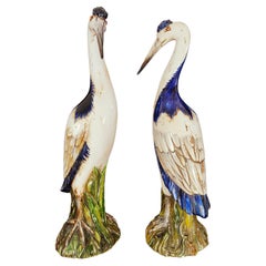 Pair of Herrons in from 50s-20th Century