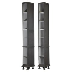 Pair of High Columns Bookcases in Gray Patinated Wood