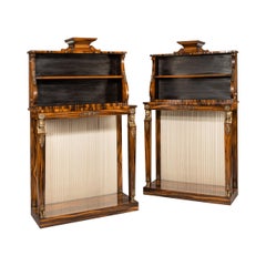 Antique Pair of High Regency Coromandel and Ormolu Bookcase Console Tables