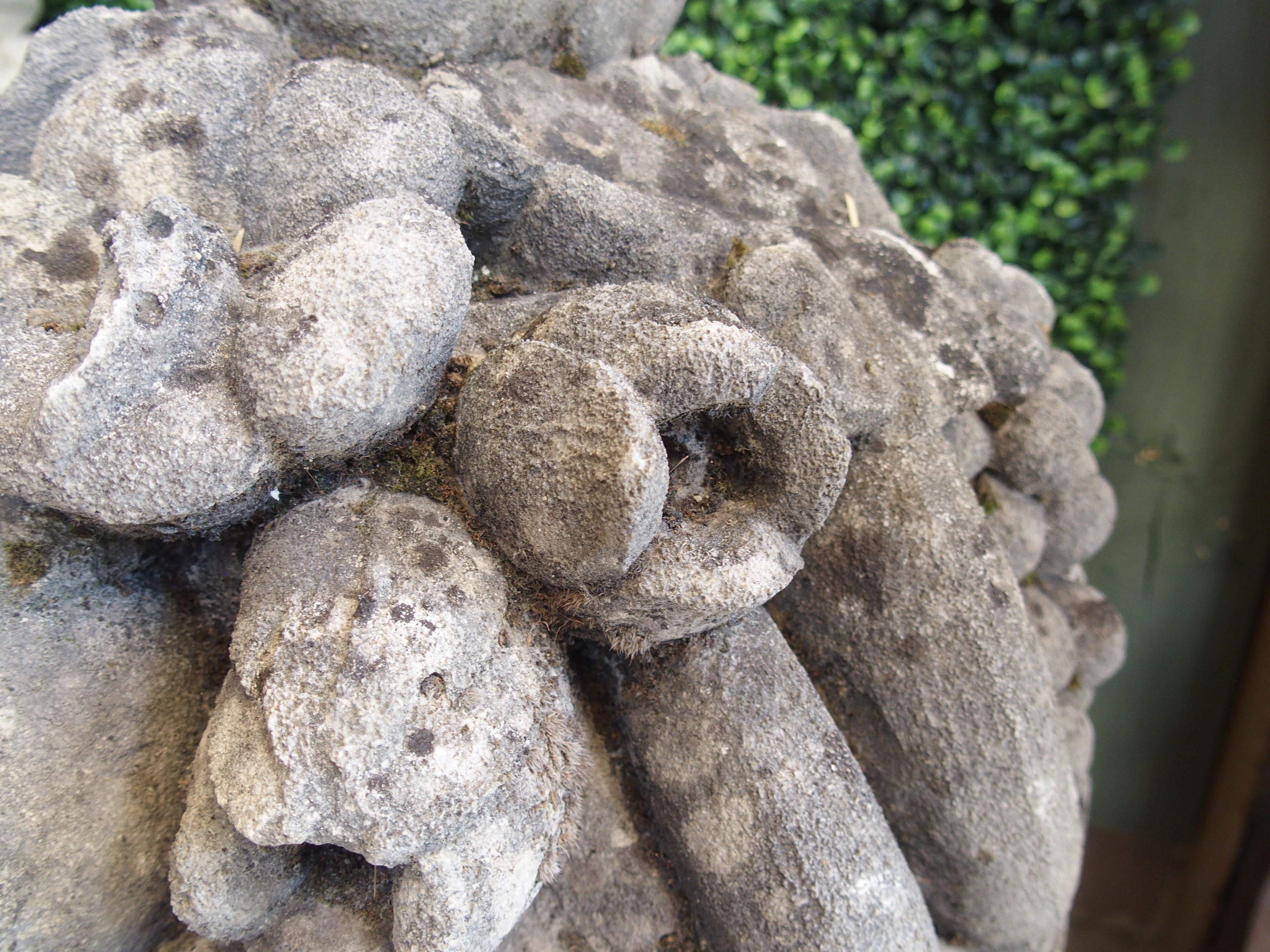 Pareja de ramilletes de frutas de piedra caliza muy esculpidos y erosionados, procedentes de Italia en venta 7