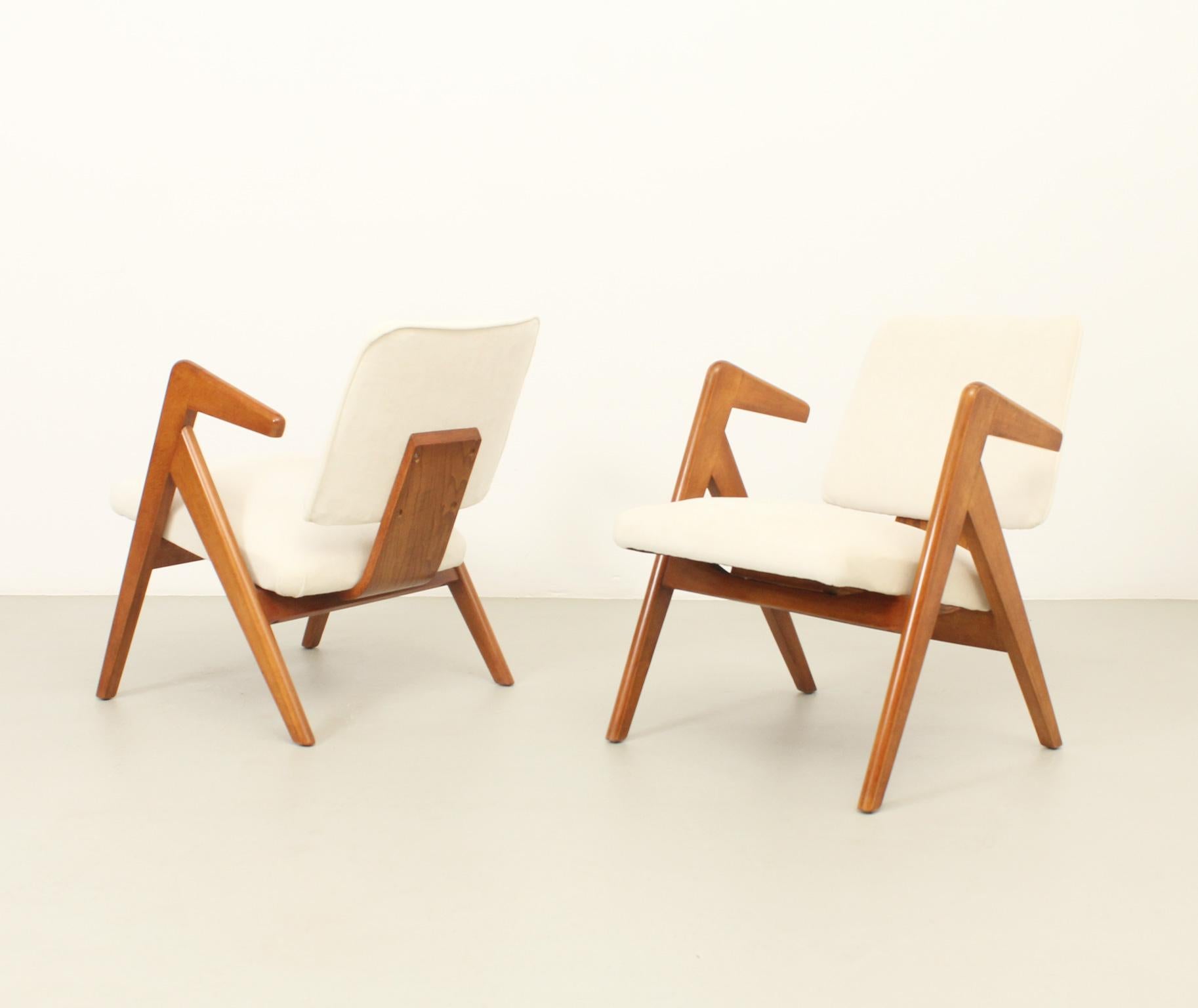 Coppia di poltrone Hill disegnate negli anni '50 da Robin Day per Hille, Regno Unito. Legno di Oak e nuova tappezzeria con tessuto di velluto bianco sporco.