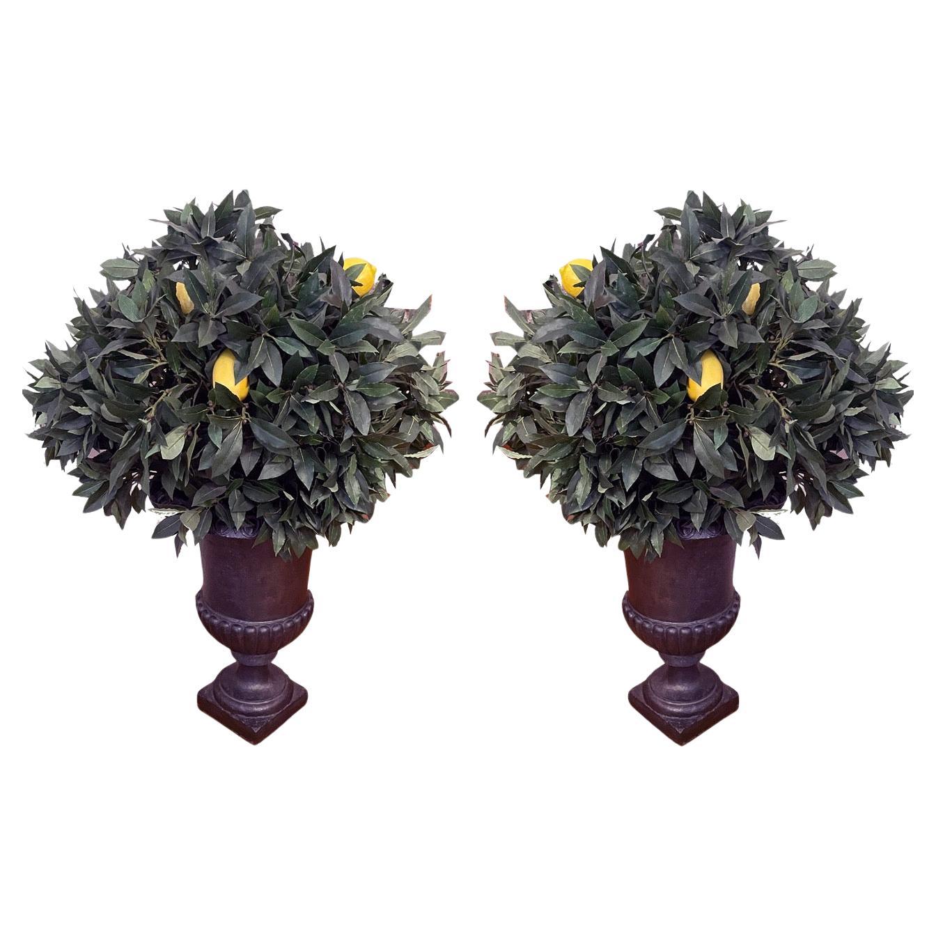 Coppia di urne da giardino storiche in ghisa in vendita