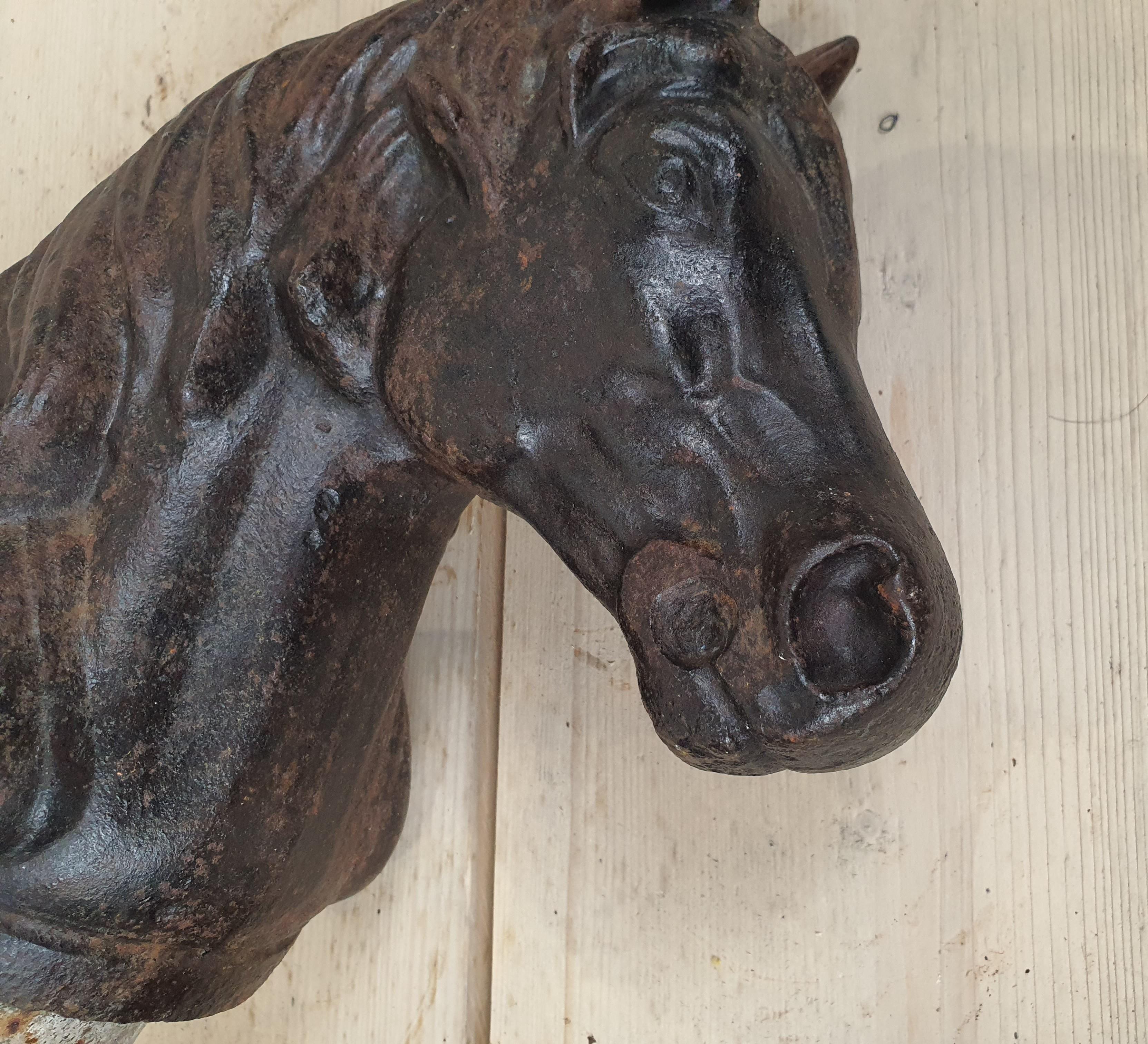 Coppia di teste di cavallo fuse per palo dell'autostop in vendita 8