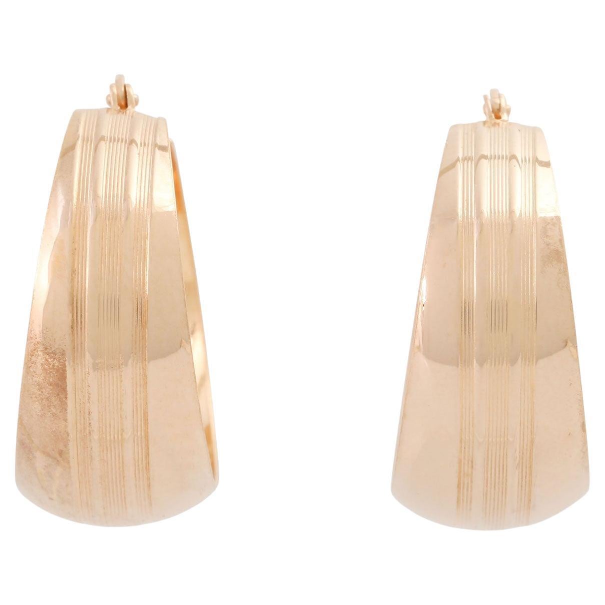 Spika Pair of Earrings