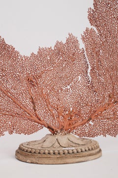 Pair of Horny Coral Branches, Italy, 1880