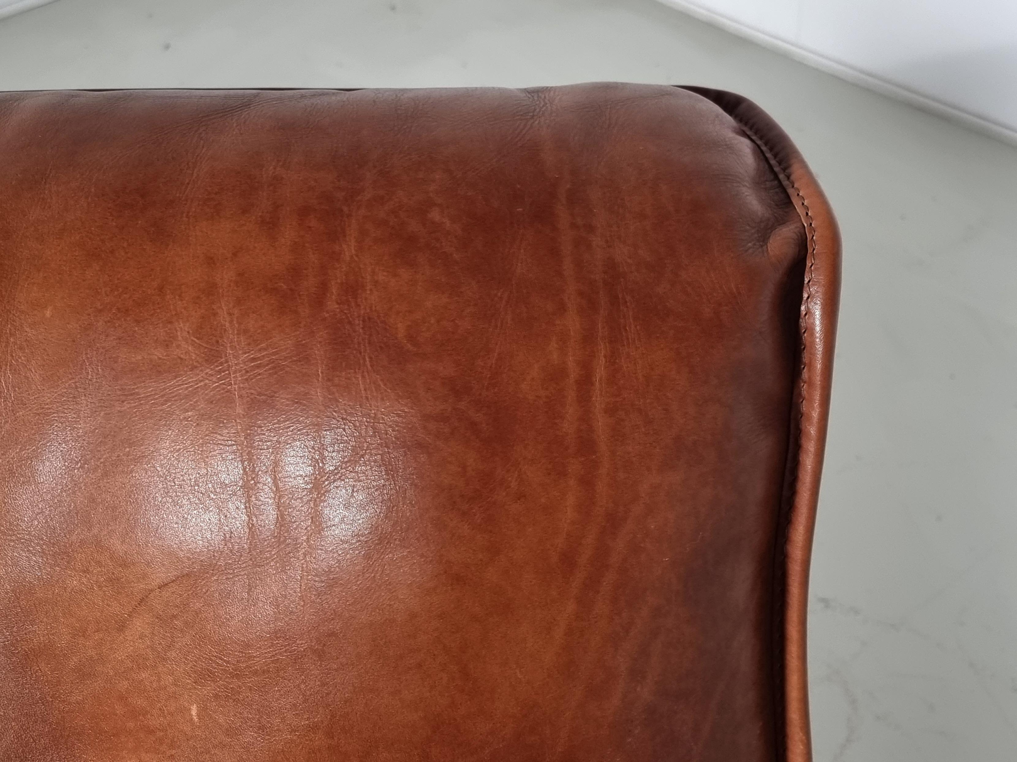 Pair of Huge Italian Lounge Chairs in Cognac Buffalo Leather, 1970s For Sale 1