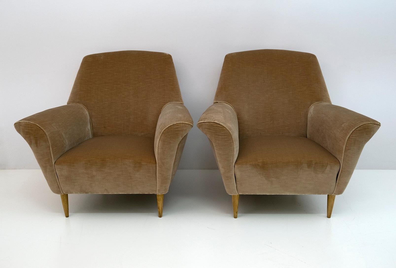 Velvet Pair of Ico Parisi Mid-Century Modern Curved Armchairs for Ariberto Colombo, 50s