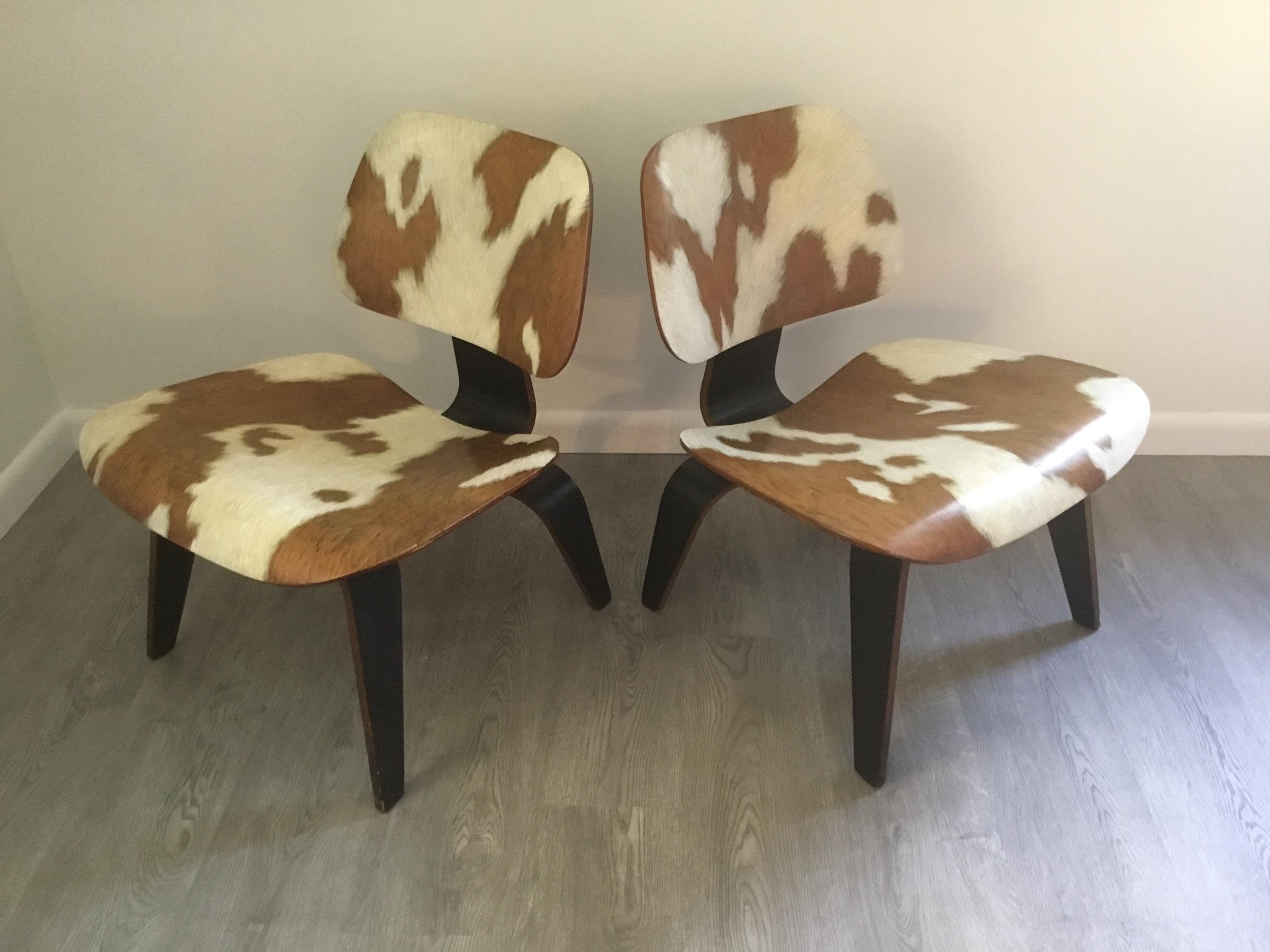 Pair of red stained LCW chairs by Charles and Ray Eames.
Faux cowhide finish by artist Lynn Curlee.
The chairs were acquired in 1969. They are possibly original issue, they were damaged with peeling and losses to the veneer on the front edge of both