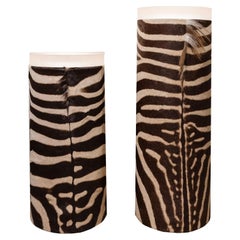 Karl Springer Pair of Illuminating Pedestals in Zebra Skins and Lucite, 1970s