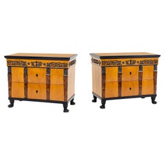 Pair of Important Chests With Berlin Cast Iron Details