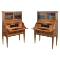 Antique Pair of important Georgian satinwood cylinder cabinets