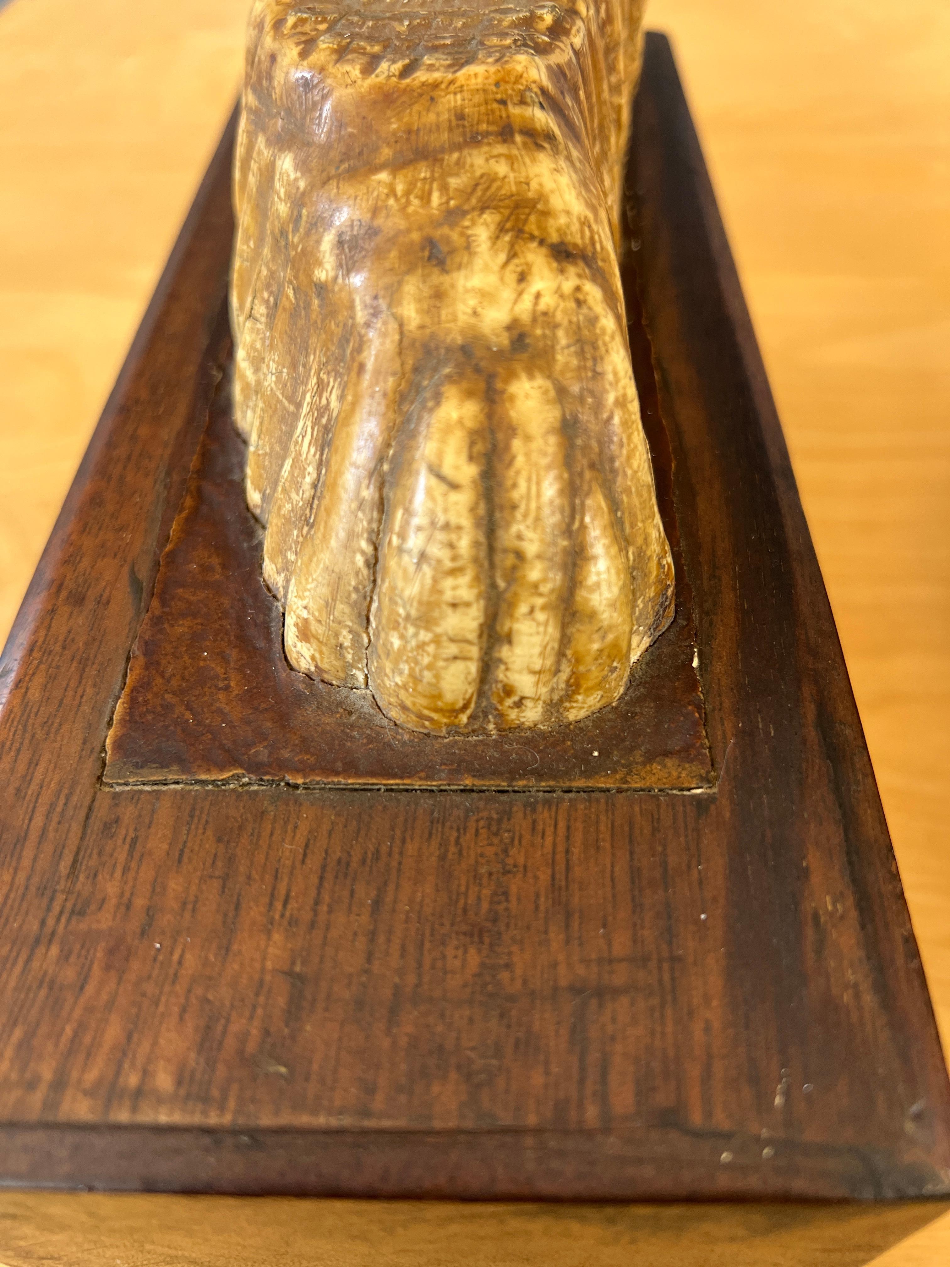 Pair of Impressive Mounted Woolly Mammoth Teeth Bookends For Sale 8