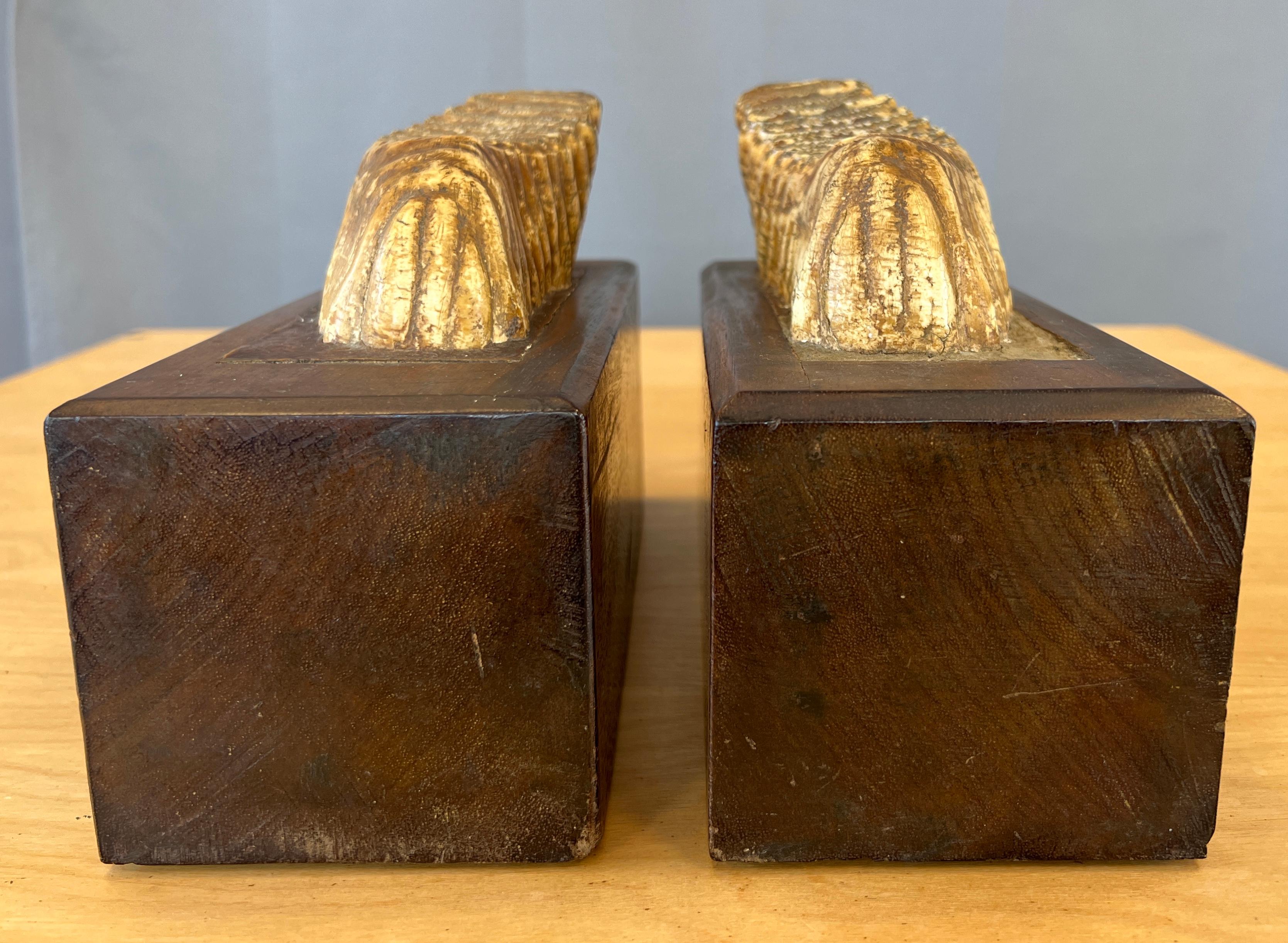 Pair of Impressive Mounted Woolly Mammoth Teeth Bookends In Good Condition For Sale In San Francisco, CA