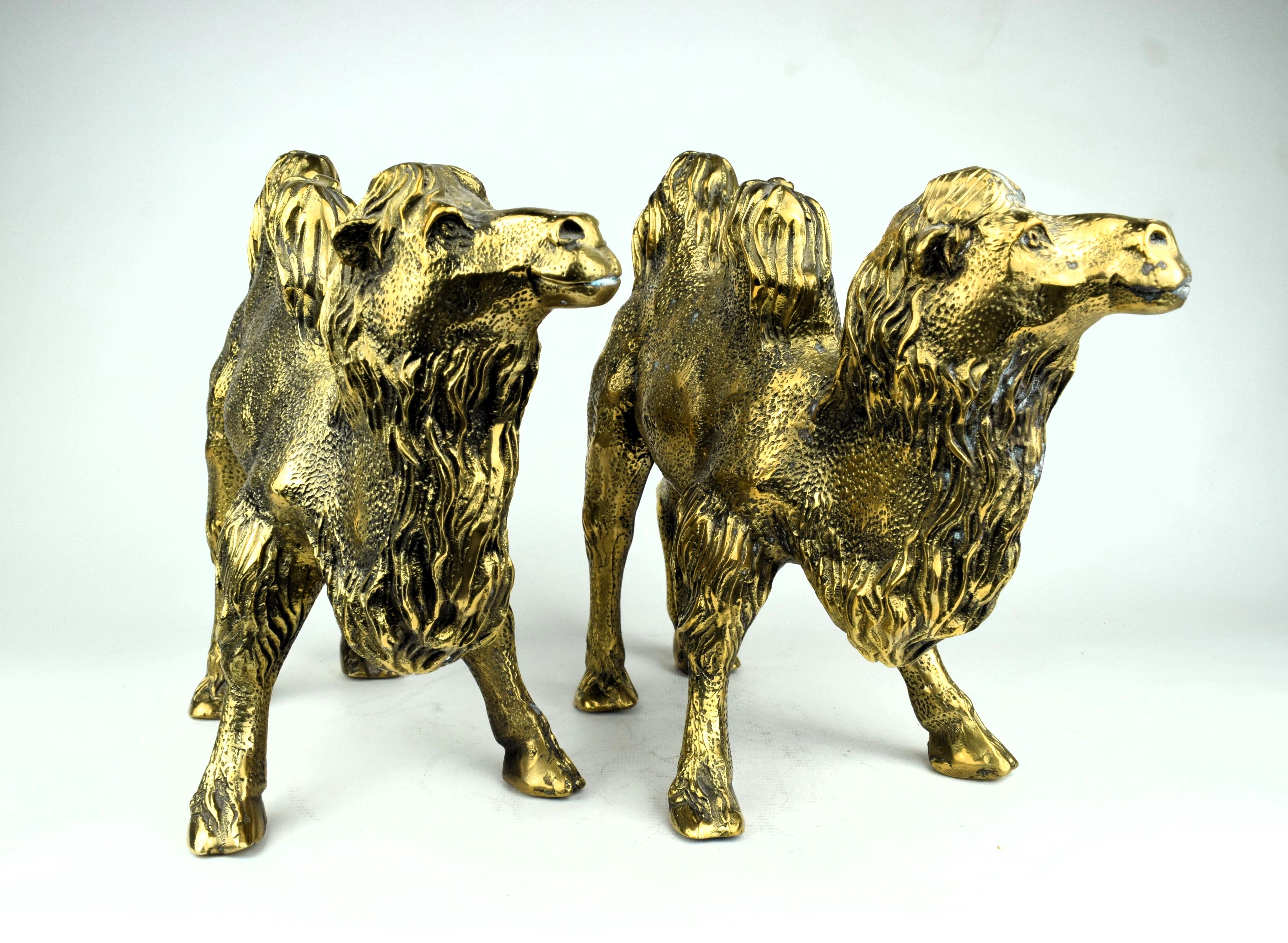 Contemporary Pair of Indian Brass Engraved Camels For Sale