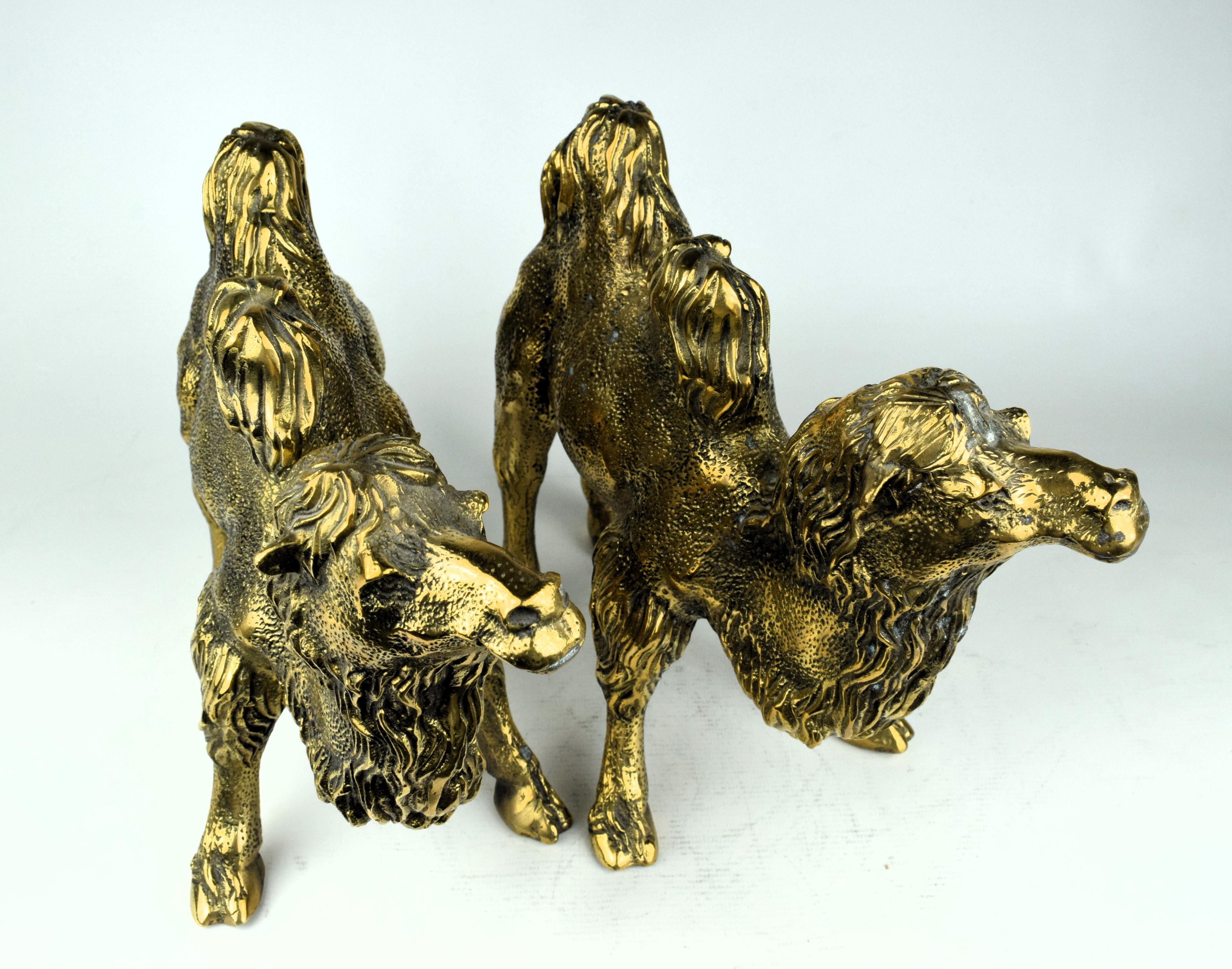 Pair of Indian Brass Engraved Camels For Sale 1