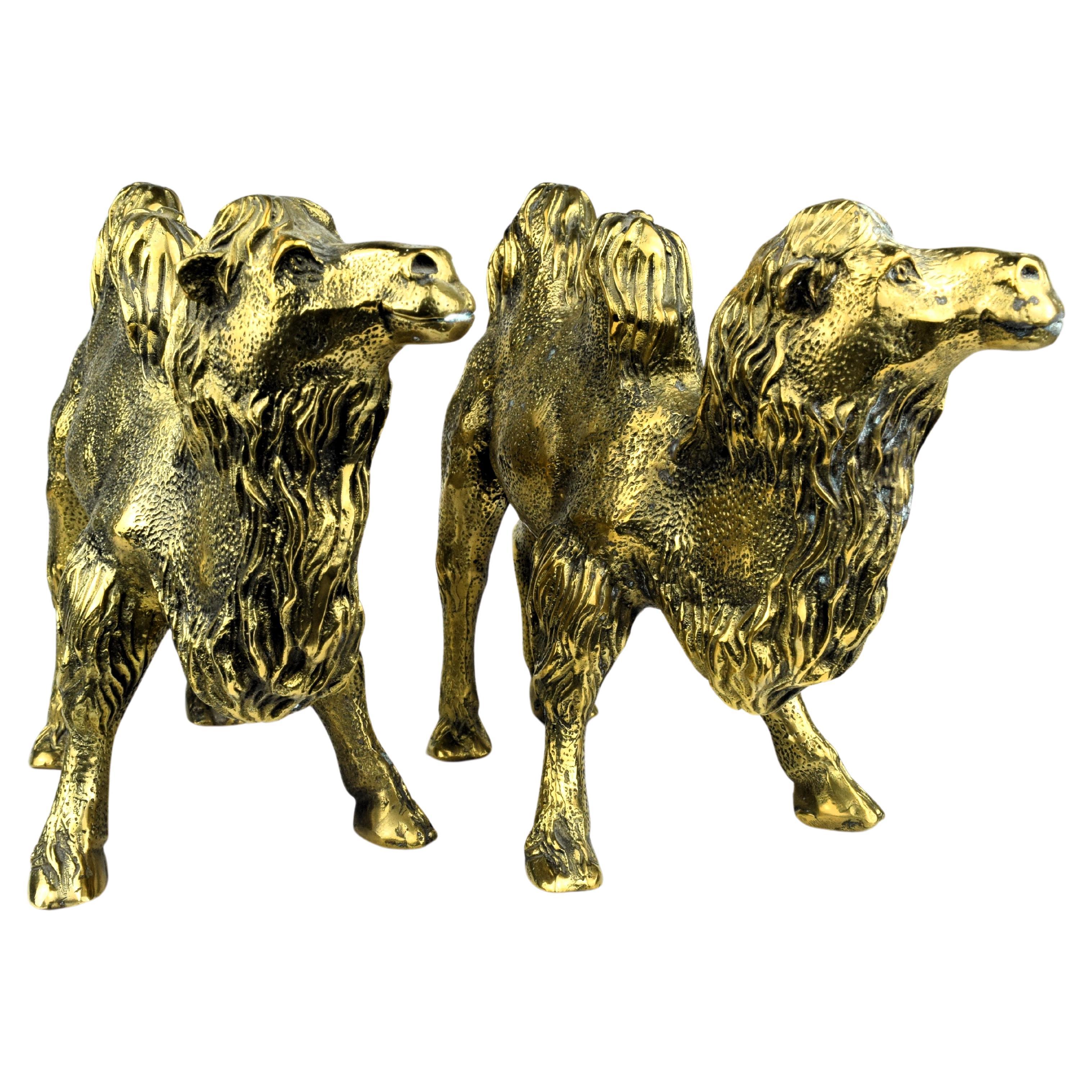 Pair of Indian Brass Engraved Camels For Sale