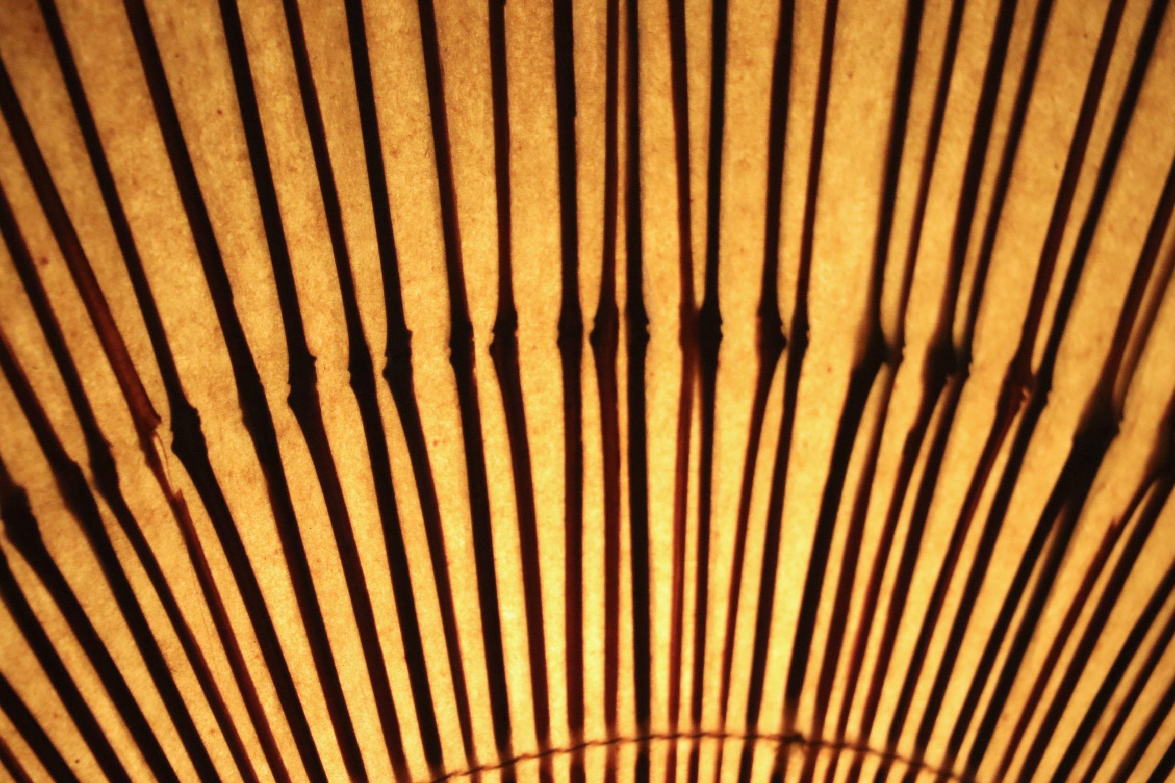 Métal Paire de lampes murales Uchiwa II d'Ingo Maurer pour M-Design, 1973 en vente
